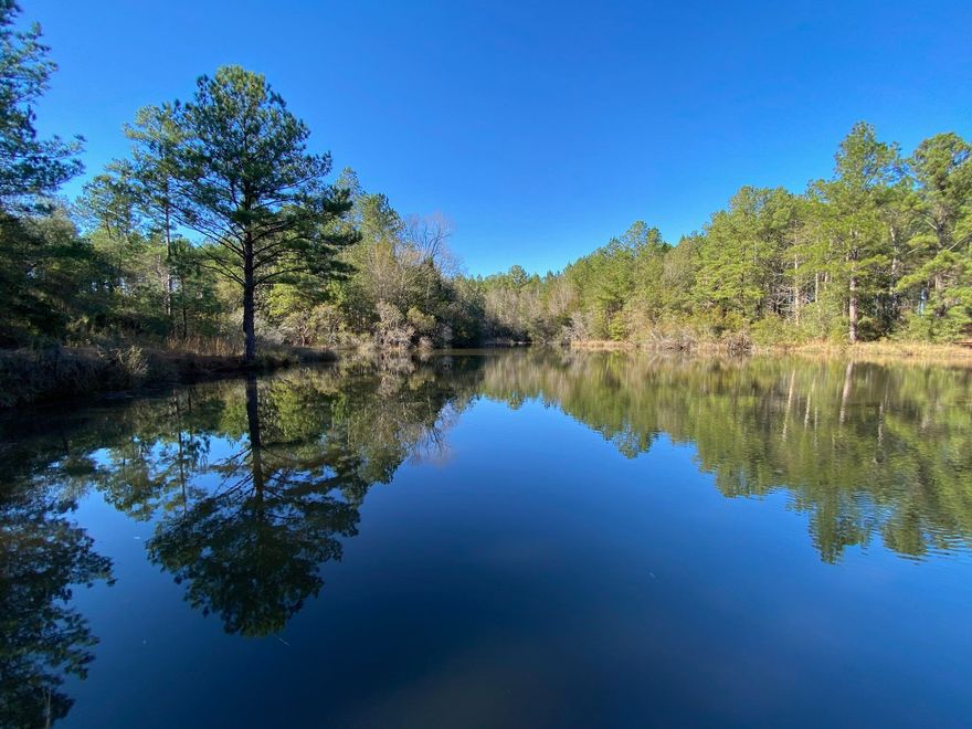 Dream location and destination for outdoor country living! Now bring Your floor plan to compliment the tranquil outdoors and sounds of nature. This almost 17 Acre lot has both clearing and tall mature pines, making choices for placing a foundation all to the desires of the Owner. Located on the property is a pond that presents options for both recreation and relaxation. Make plans to come view this beautiful location while it is still available. Paved Road, Power available and Adjoins Blackwater Forest !