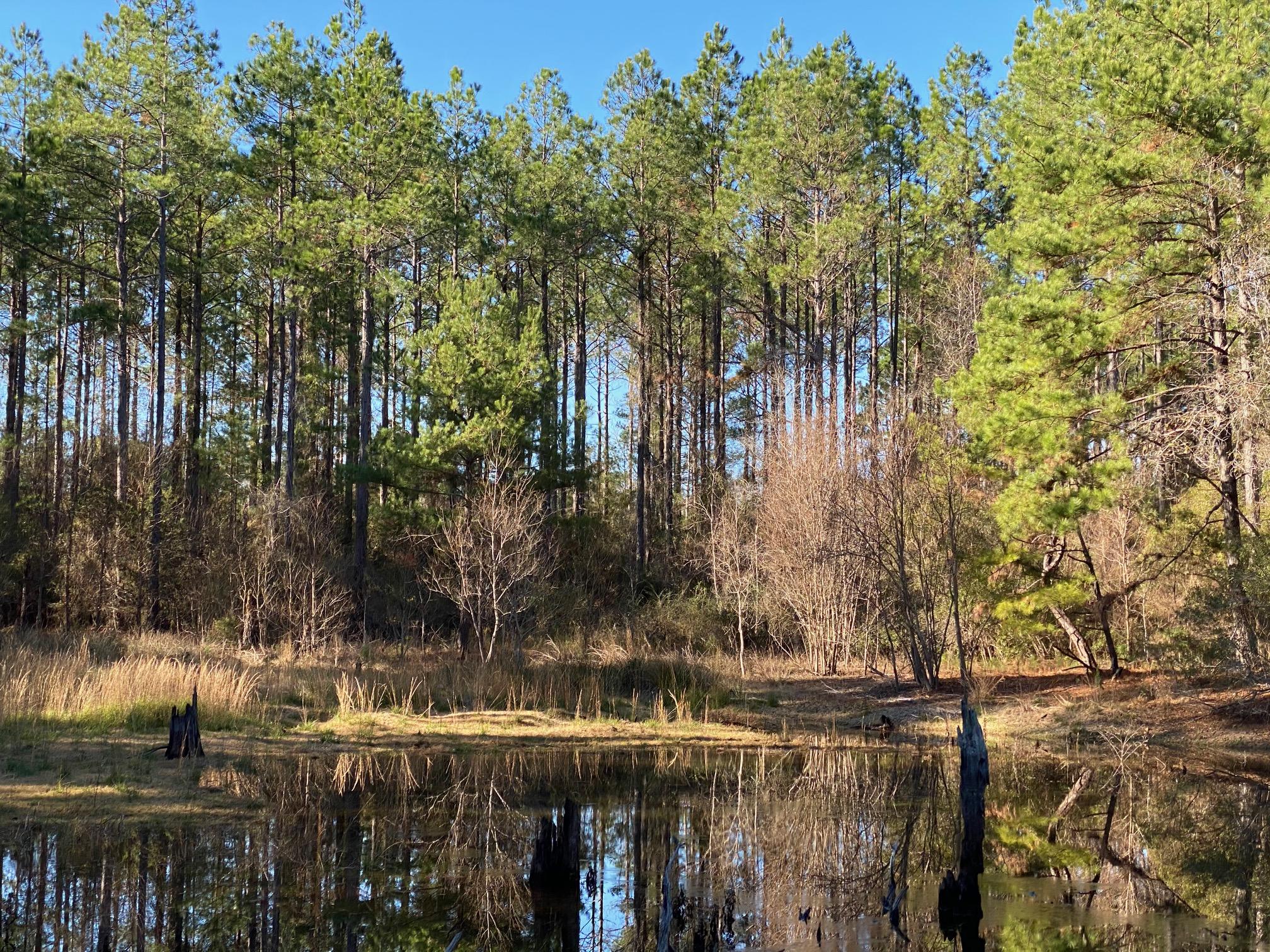 METES & BOUNDS - Farm