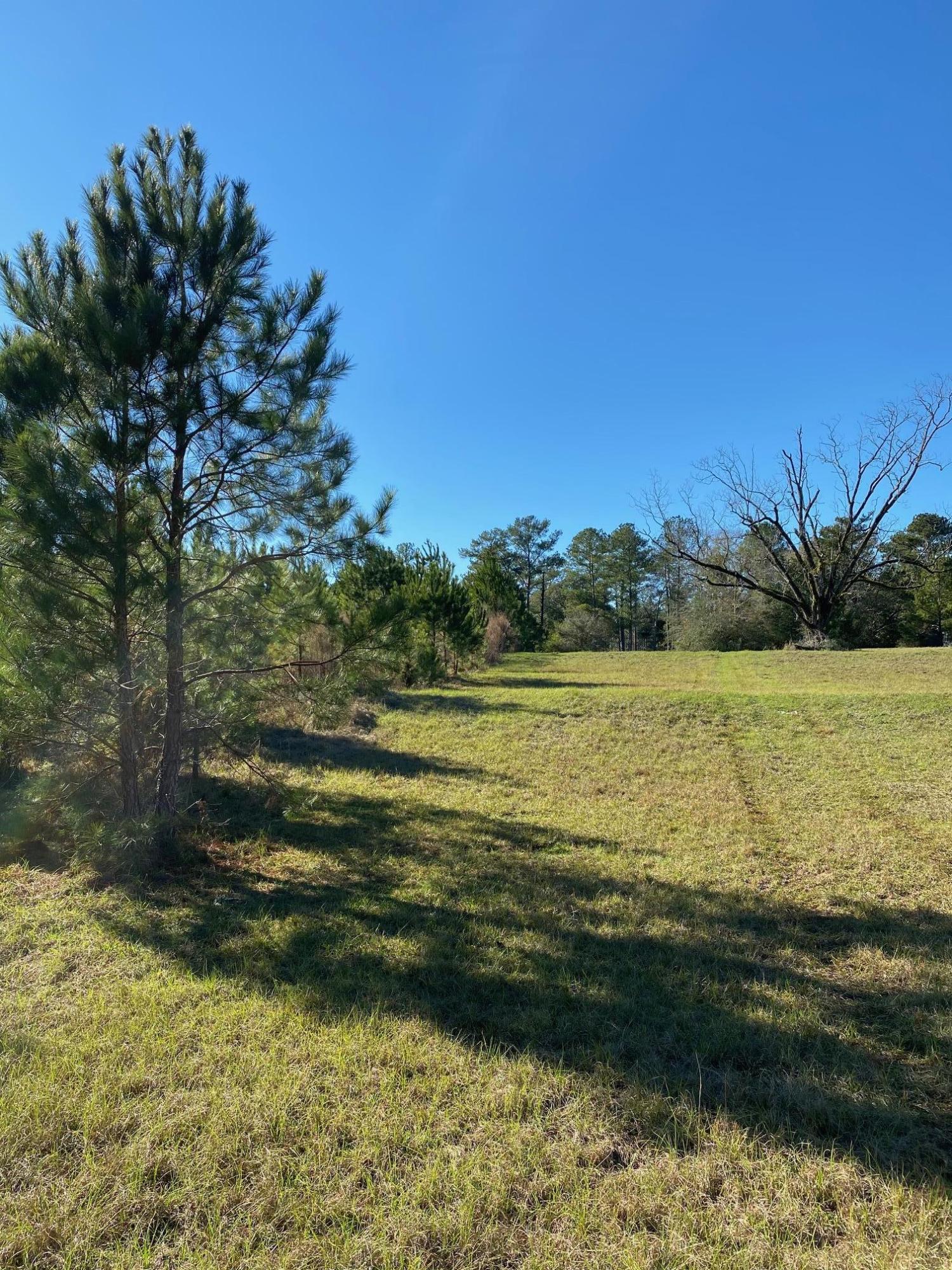 METES & BOUNDS - Farm