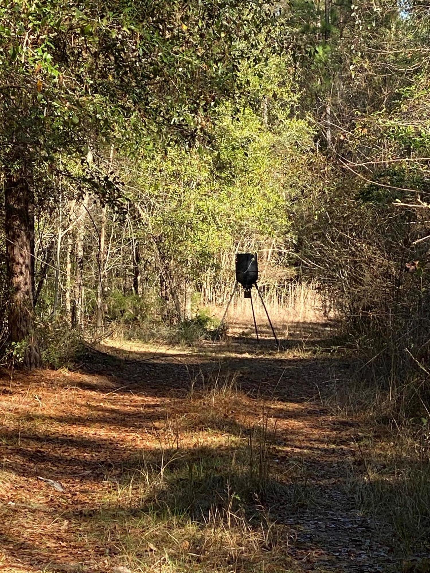 METES & BOUNDS - Farm