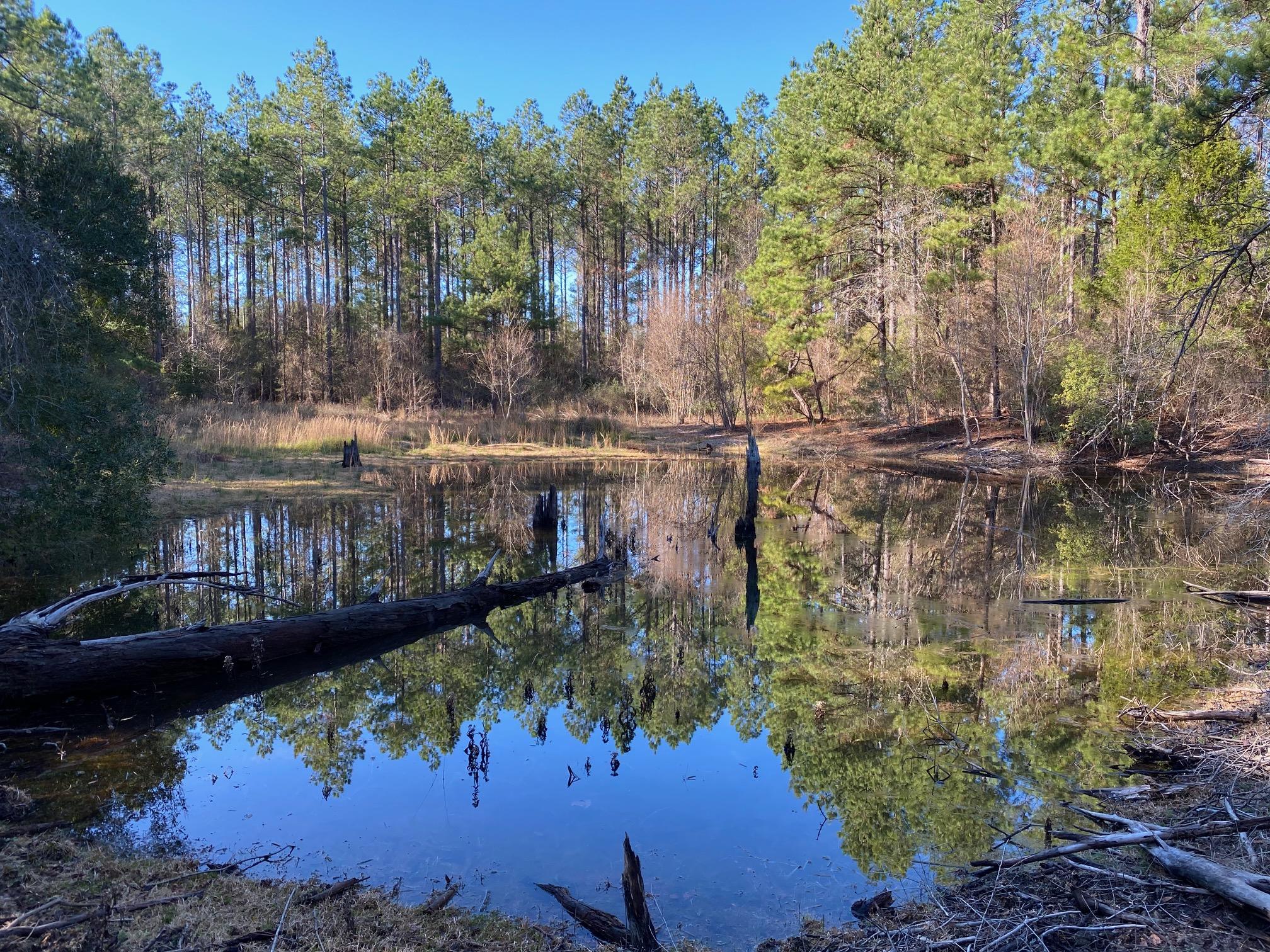 METES & BOUNDS - Farm