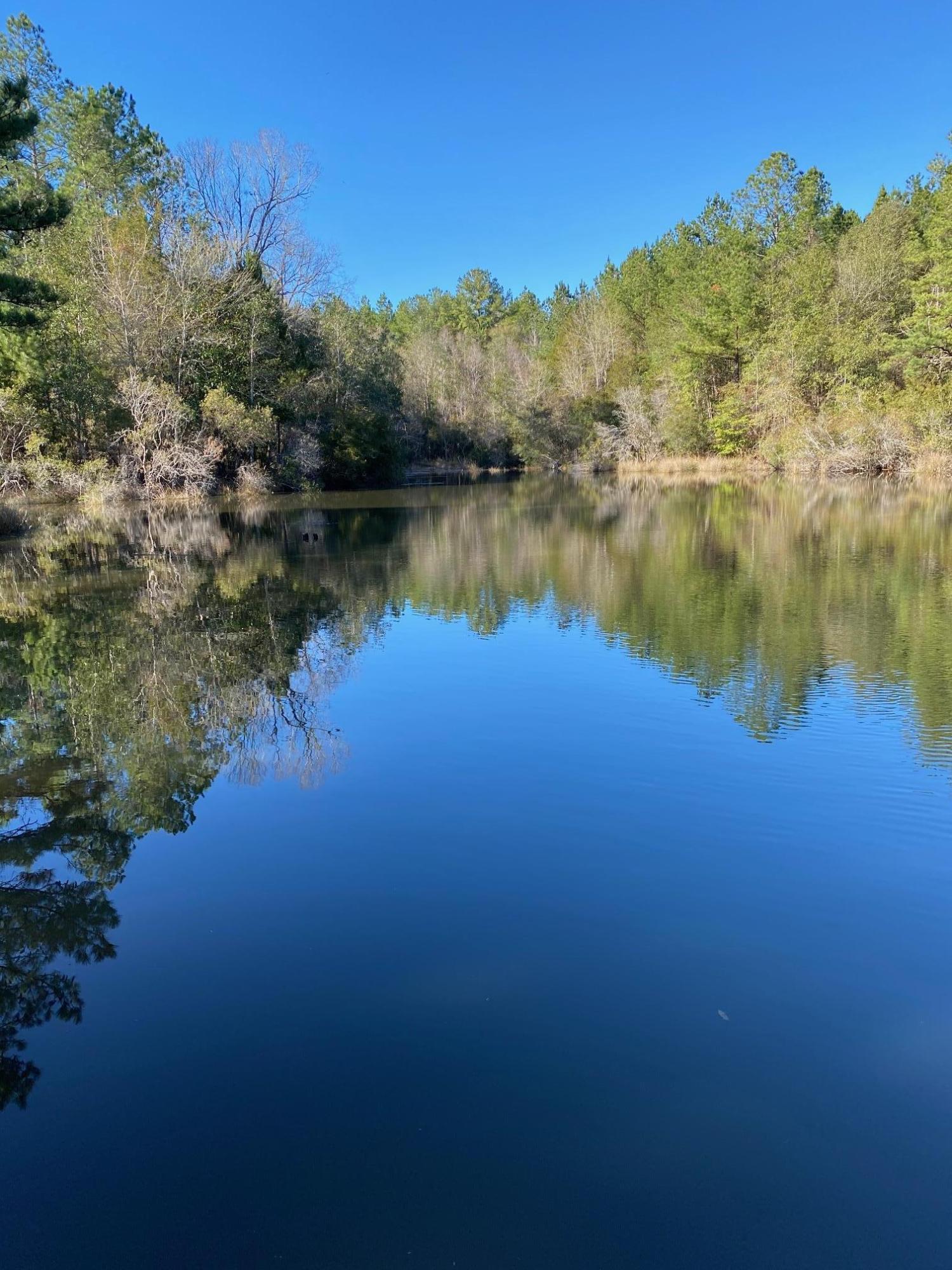 METES & BOUNDS - Farm