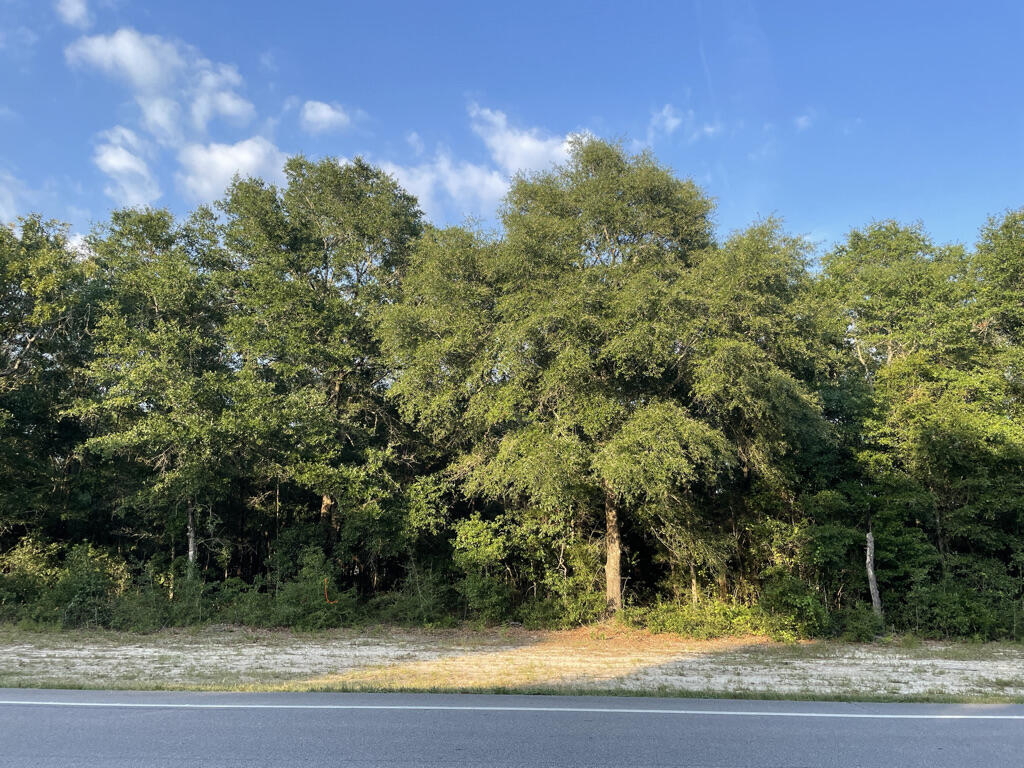 Five platted one acre lots with road frontage on Hwy 331 & Copeland Lane. Wooded, level and close to town. Price right. Easy access to downtown Defuniak Springs and all major shopping.