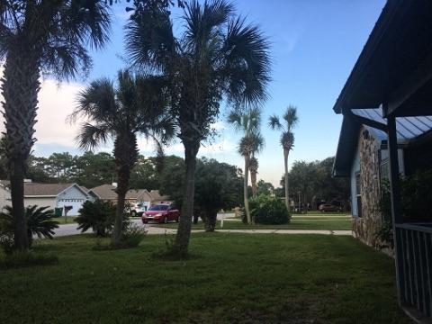 MEADOW WOODS - Residential