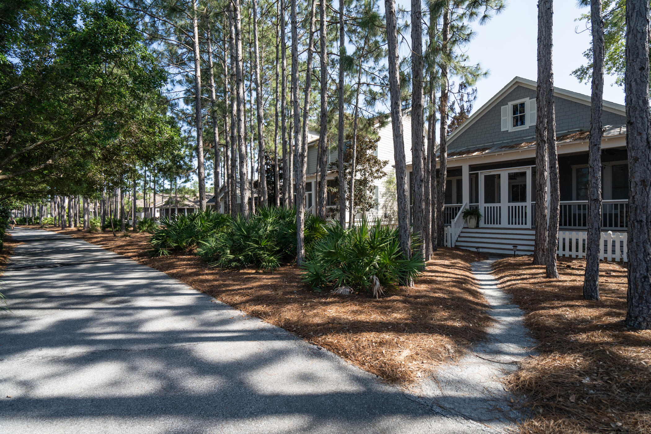 Naturewalk at Watersound Origins - Residential