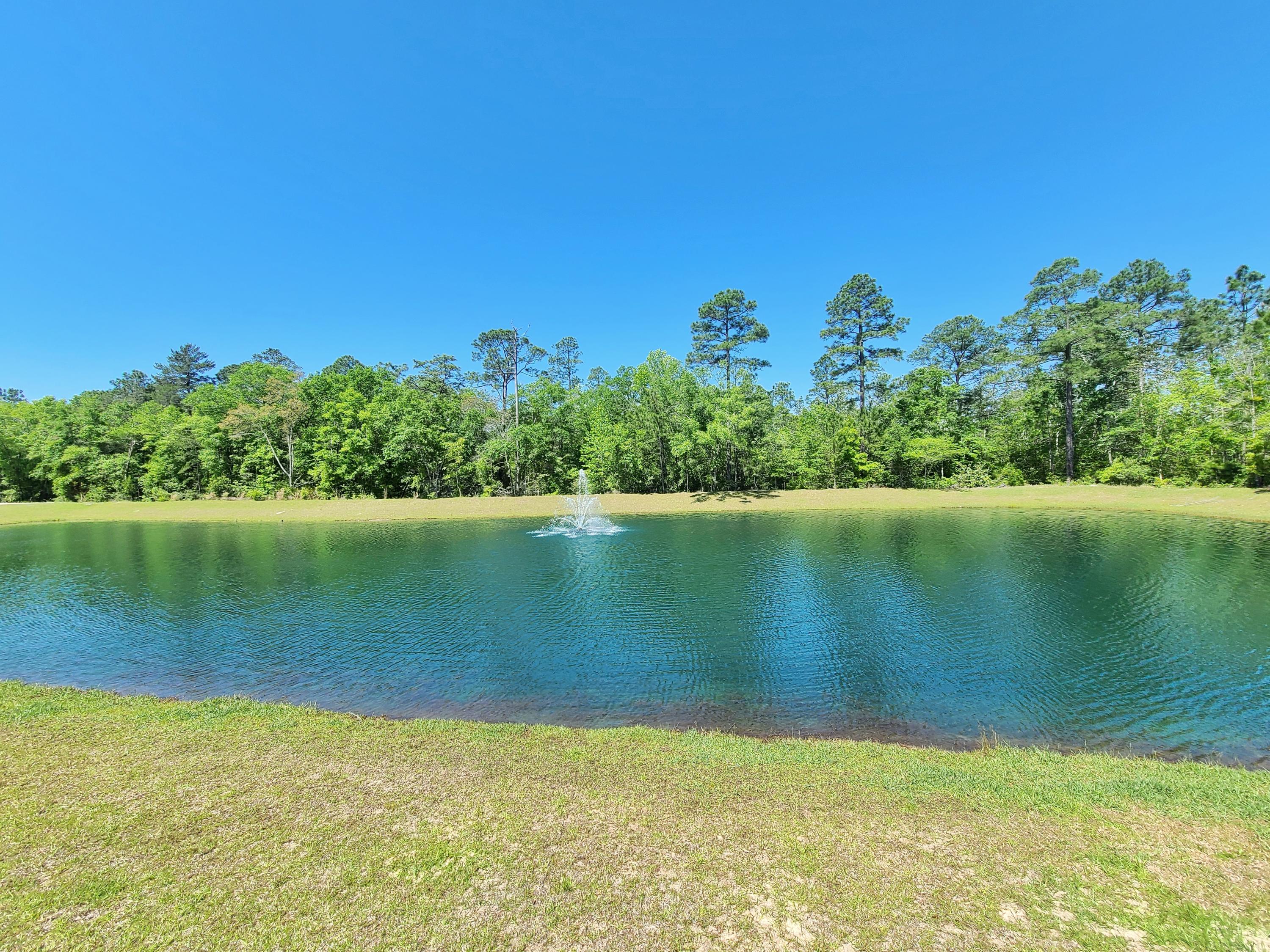 Bear Creek - Residential