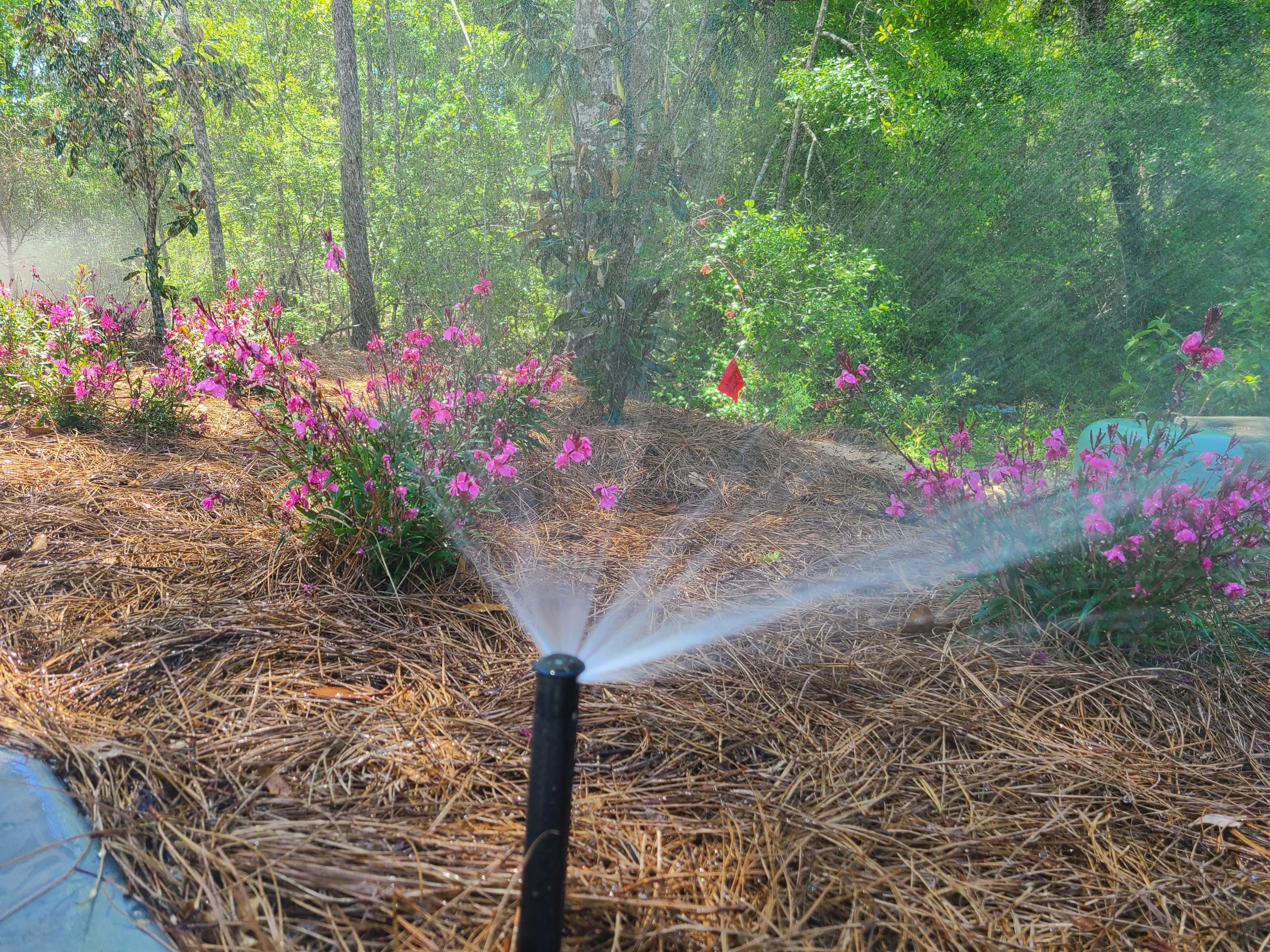 Bear Creek - Residential