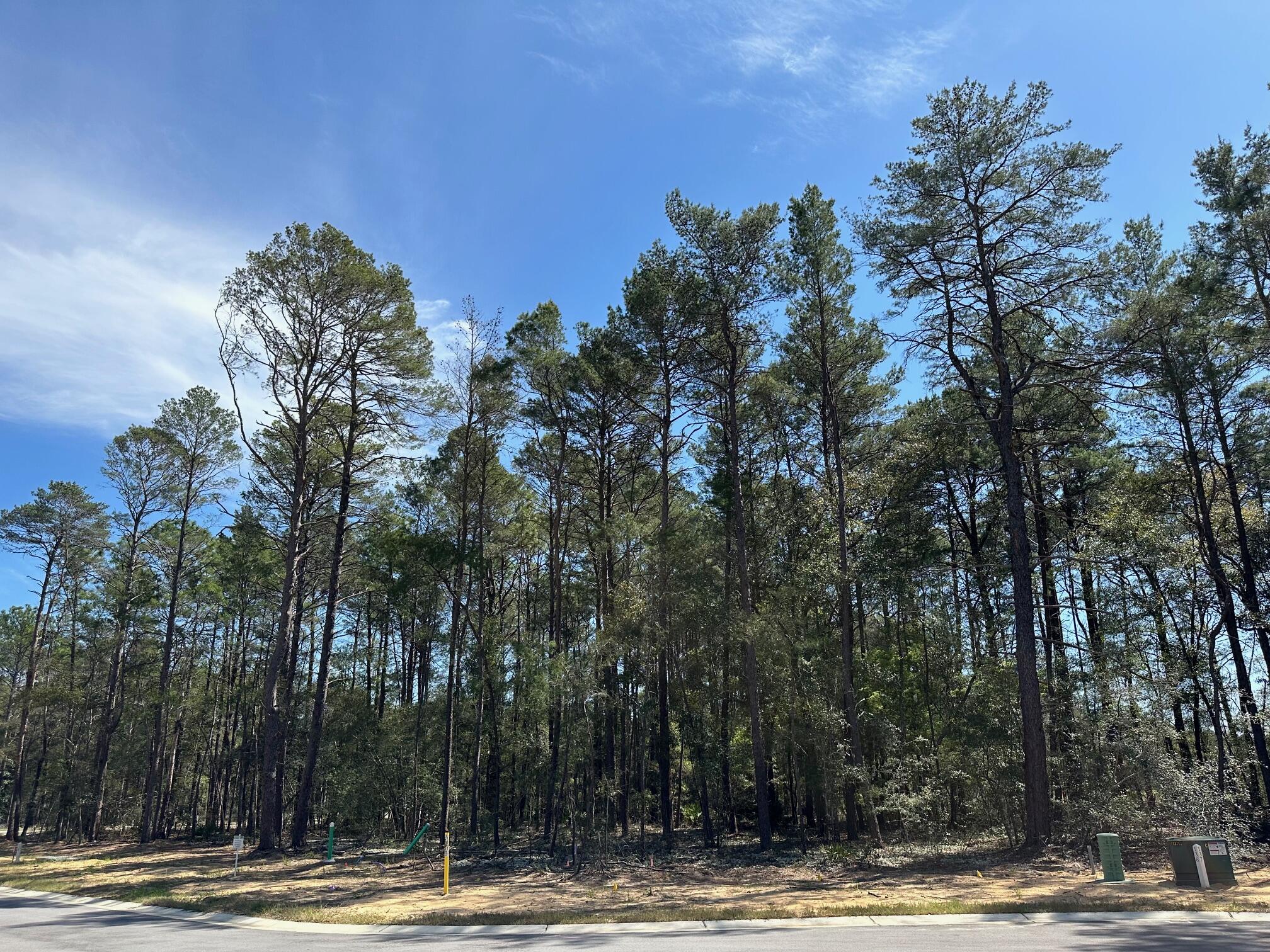 Cul-de-sac lot 138 in desirable Deer Moss Creek(r)! This is one of only 12 large, flat lots developed in DMC Phase 7A. Lot is big enough for a pool!! The cul-de-sac lots vary in size between 0.49 to 0.78 acres. If you're looking for an estate-sized lot in Niceville for your custom home, this is it. Deer Moss Creek(r) is an 1,100- acre, master-planned, mixed-use community in Niceville, FL. The east side of this lot borders a 20' natural wooded buffer. Community plans include a nature trail, bike lanes, parks, pools, office and retail space. Sidewalks are 5' wide and home plans must be approved by the Town Architect.