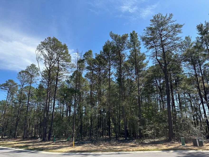 Cul-de-sac lot 138 in desirable Deer Moss Creek(r)! This is one of only 12 large, flat lots developed in DMC Phase 7A. Lot is big enough for a pool!! The cul-de-sac lots vary in size between 0.49 to 0.78 acres. If you're looking for an estate-sized lot in Niceville for your custom home, this is it. Deer Moss Creek(r) is an 1,100- acre, master-planned, mixed-use community in Niceville, FL. The east side of this lot borders a 20' natural wooded buffer. Community plans include a nature trail, bike lanes, parks, pools, office and retail space. Sidewalks are 5' wide and home plans must be approved by the Town Architect.