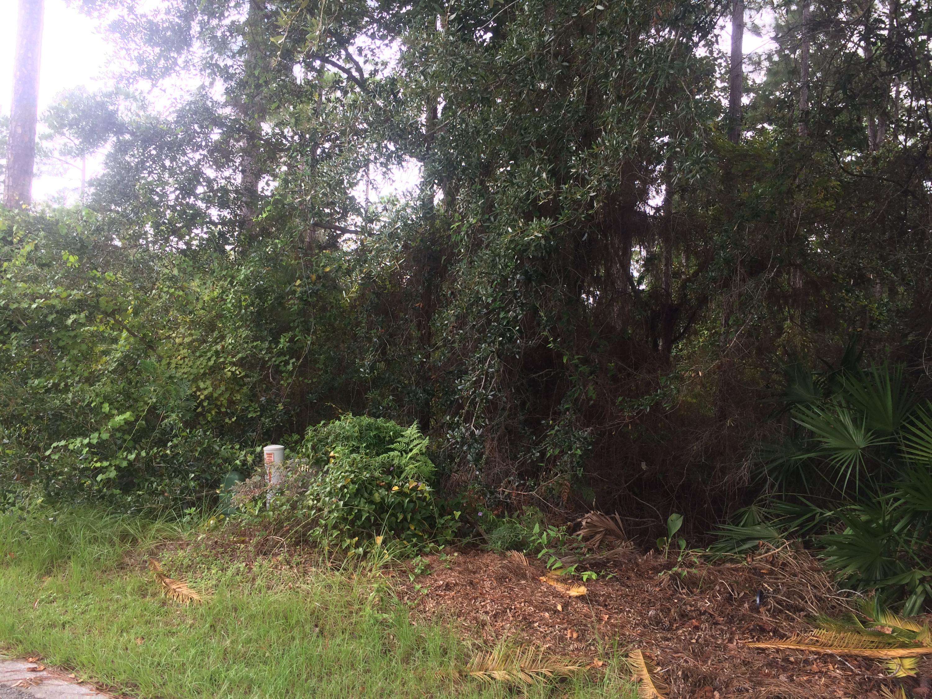 Mack Bayou Estates - Land