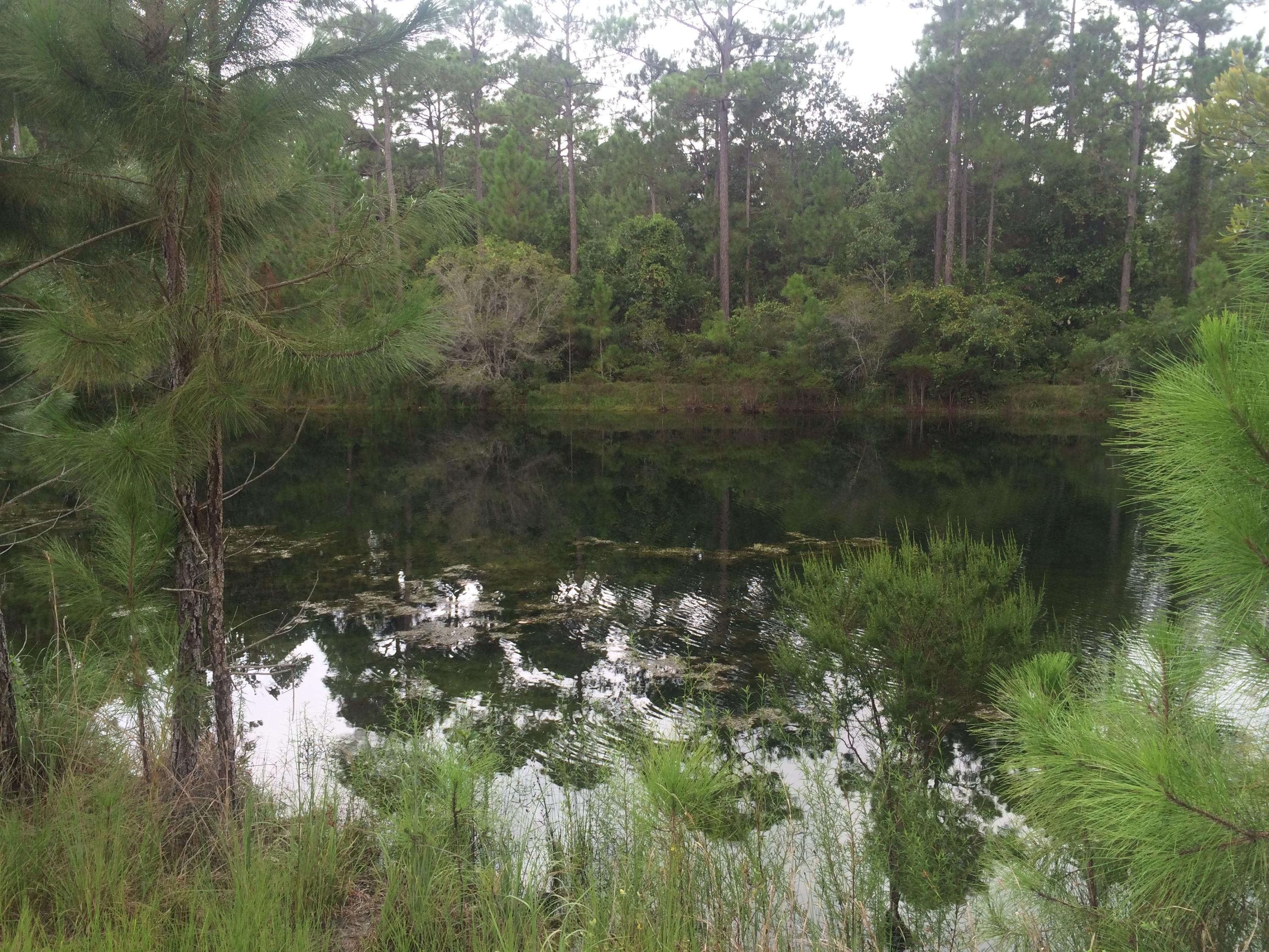 Mack Bayou Estates - Land