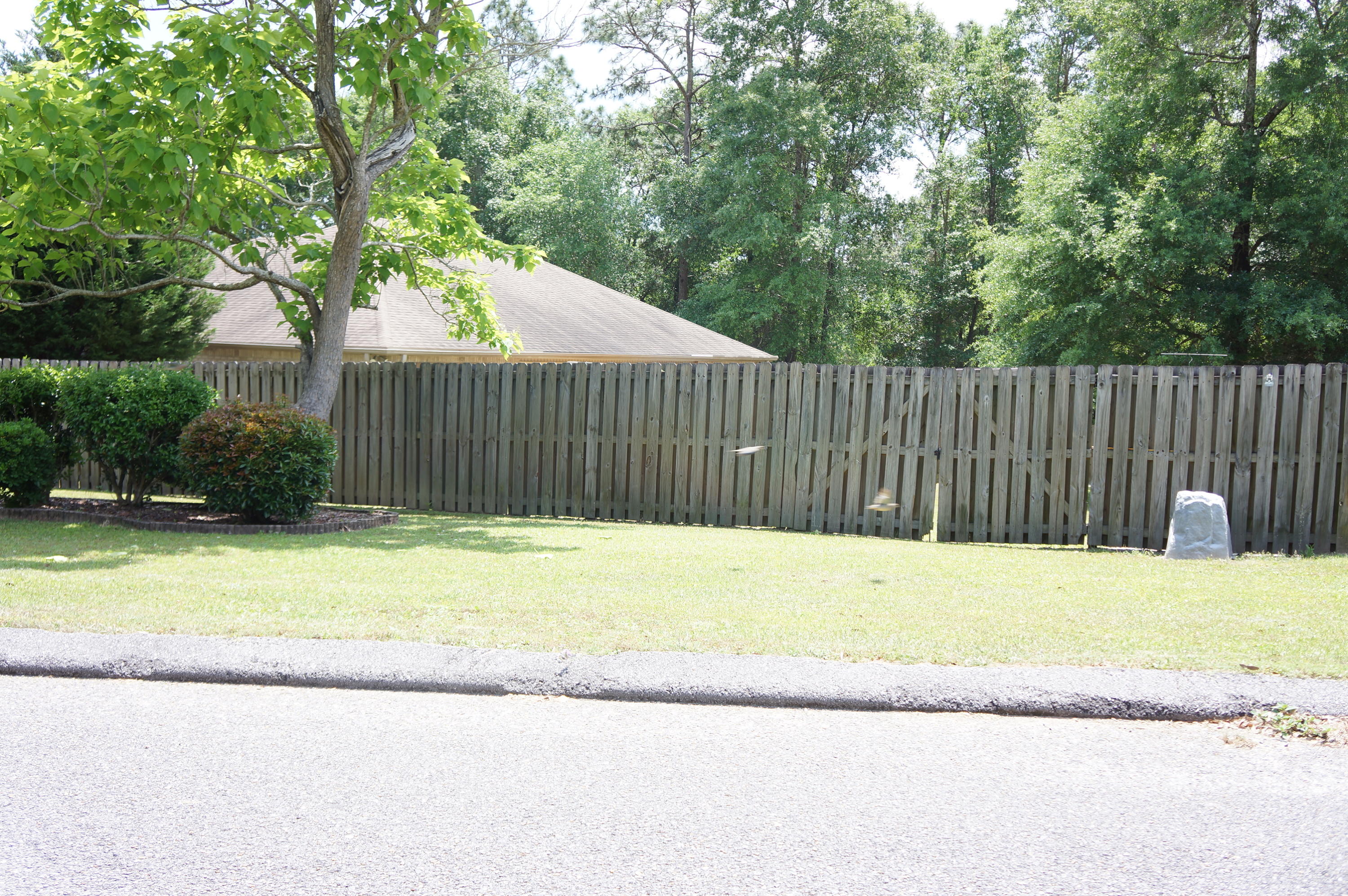 SPRING HOLLOW ESTATES - Residential