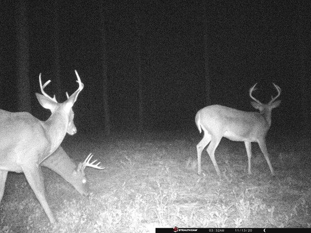 Walton Plantation - Land