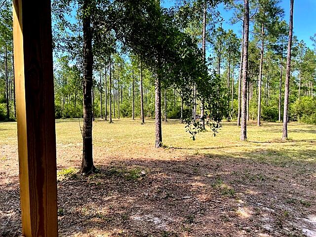 Walton Plantation - Land