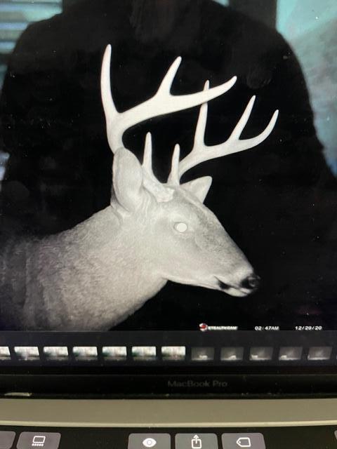 Walton Plantation - Land