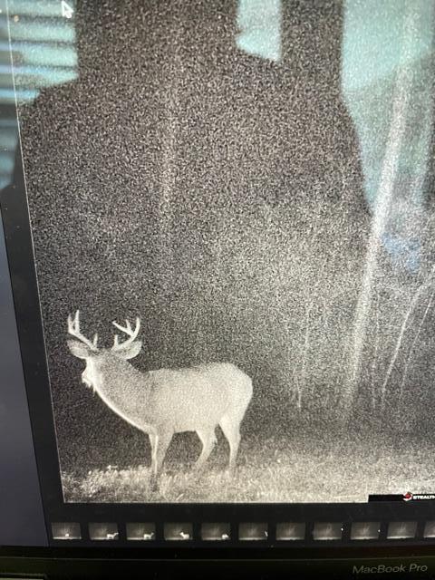 Walton Plantation - Land