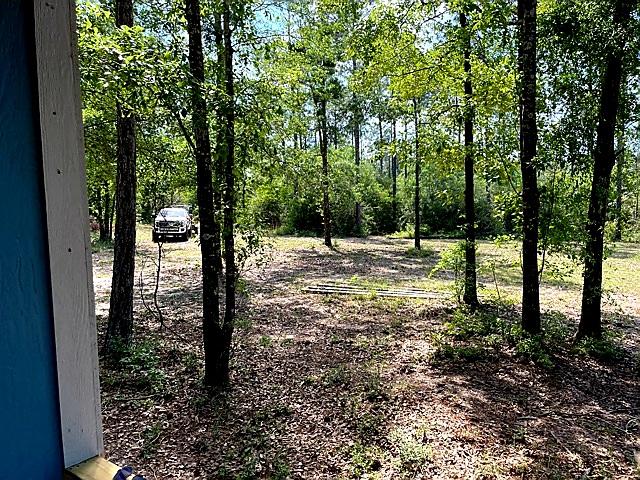 Walton Plantation - Land