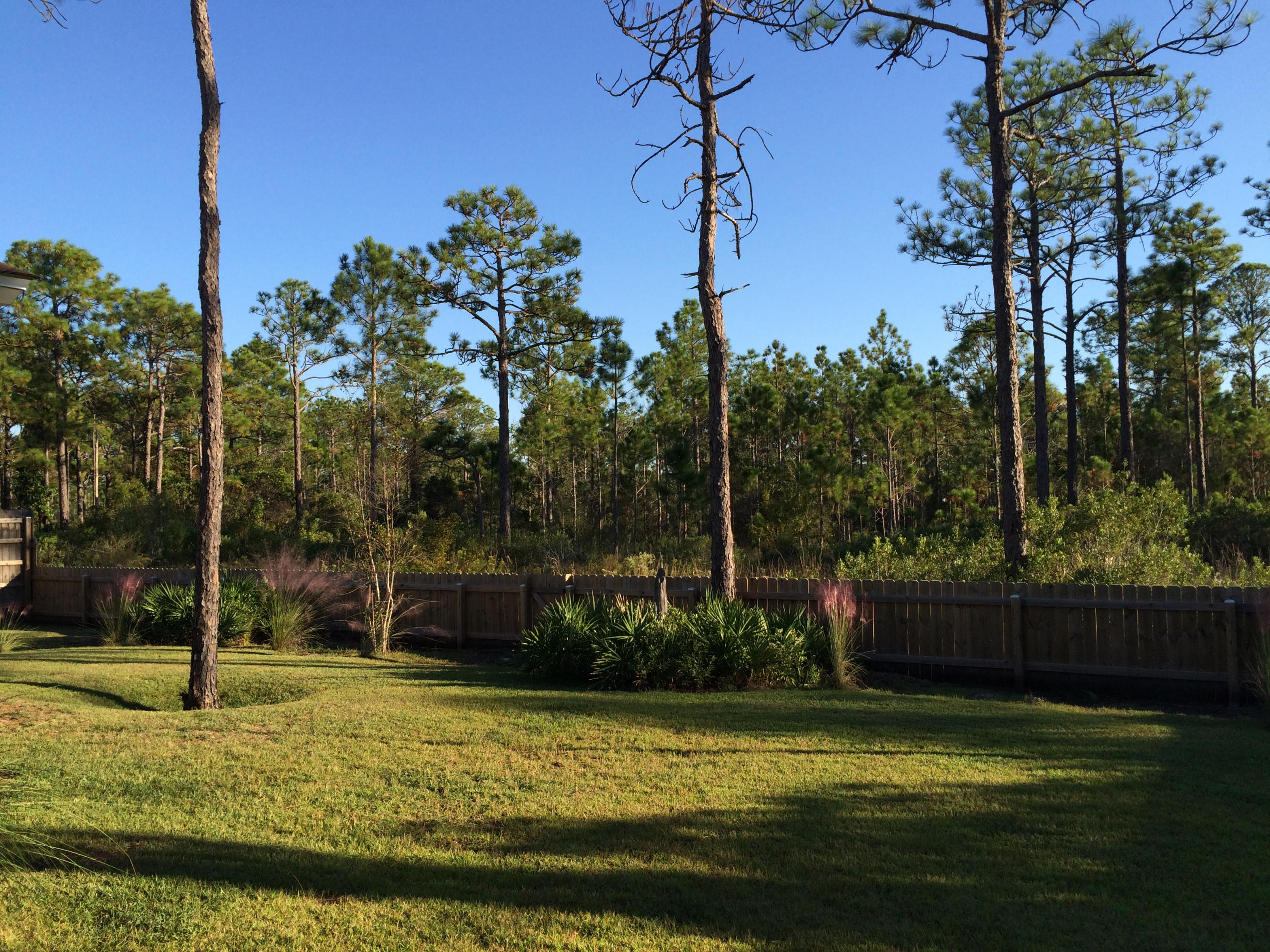 BAYOU PINES 1ST ADD - Residential