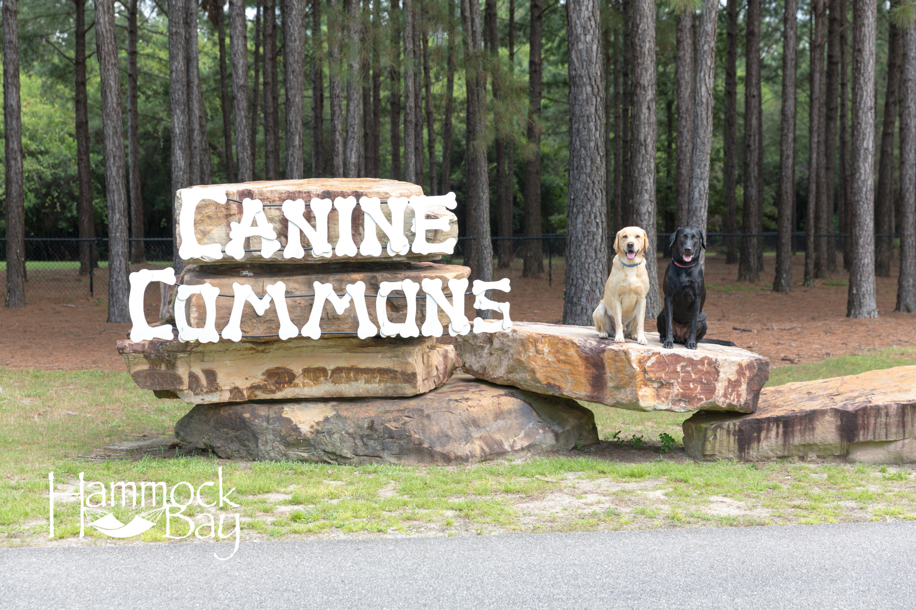 HAMMOCK BAY - Residential