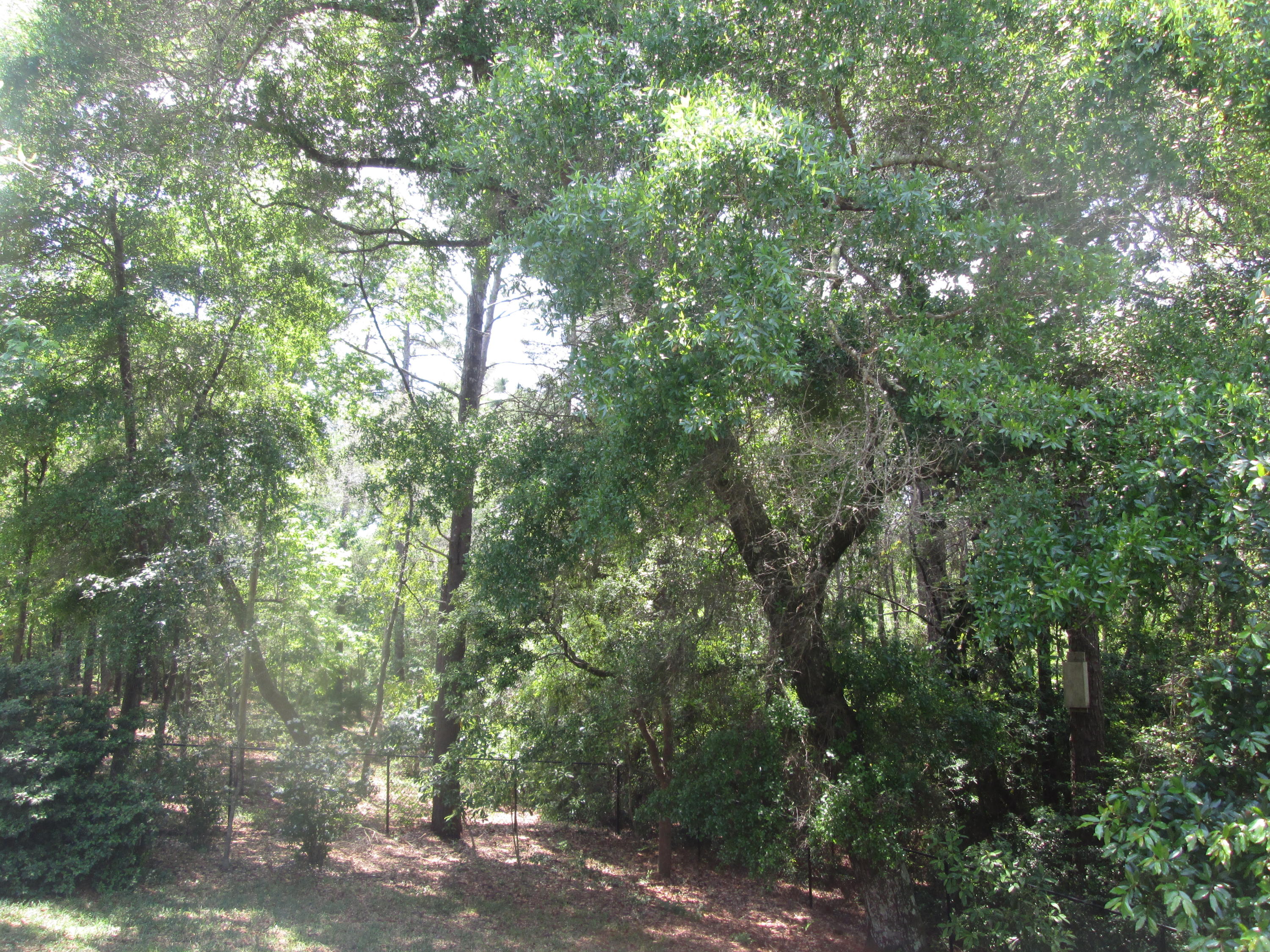 ROCKY BAYOU COUNTRY CLUB ESTATES 9 - Residential