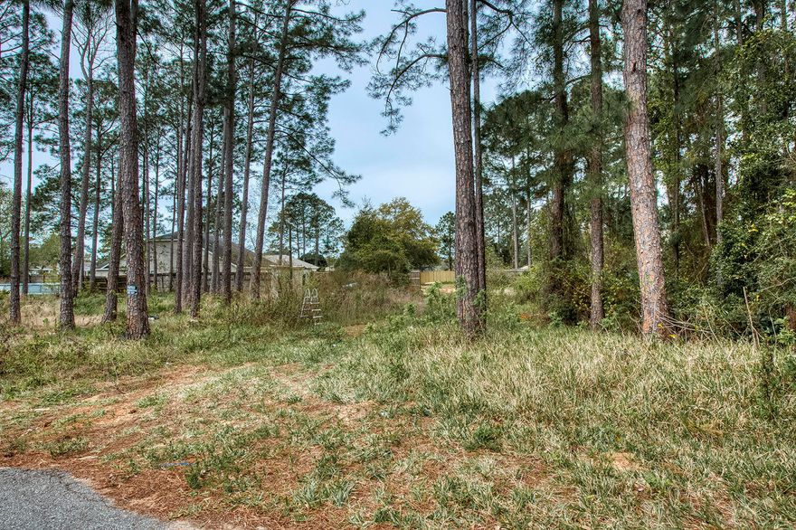 Great affordable wooded lot that can be subdivided into two parcels. 5570 and 5571 Charter. Now is your chance to own some property in a great school district and within minutes from the beach!!!