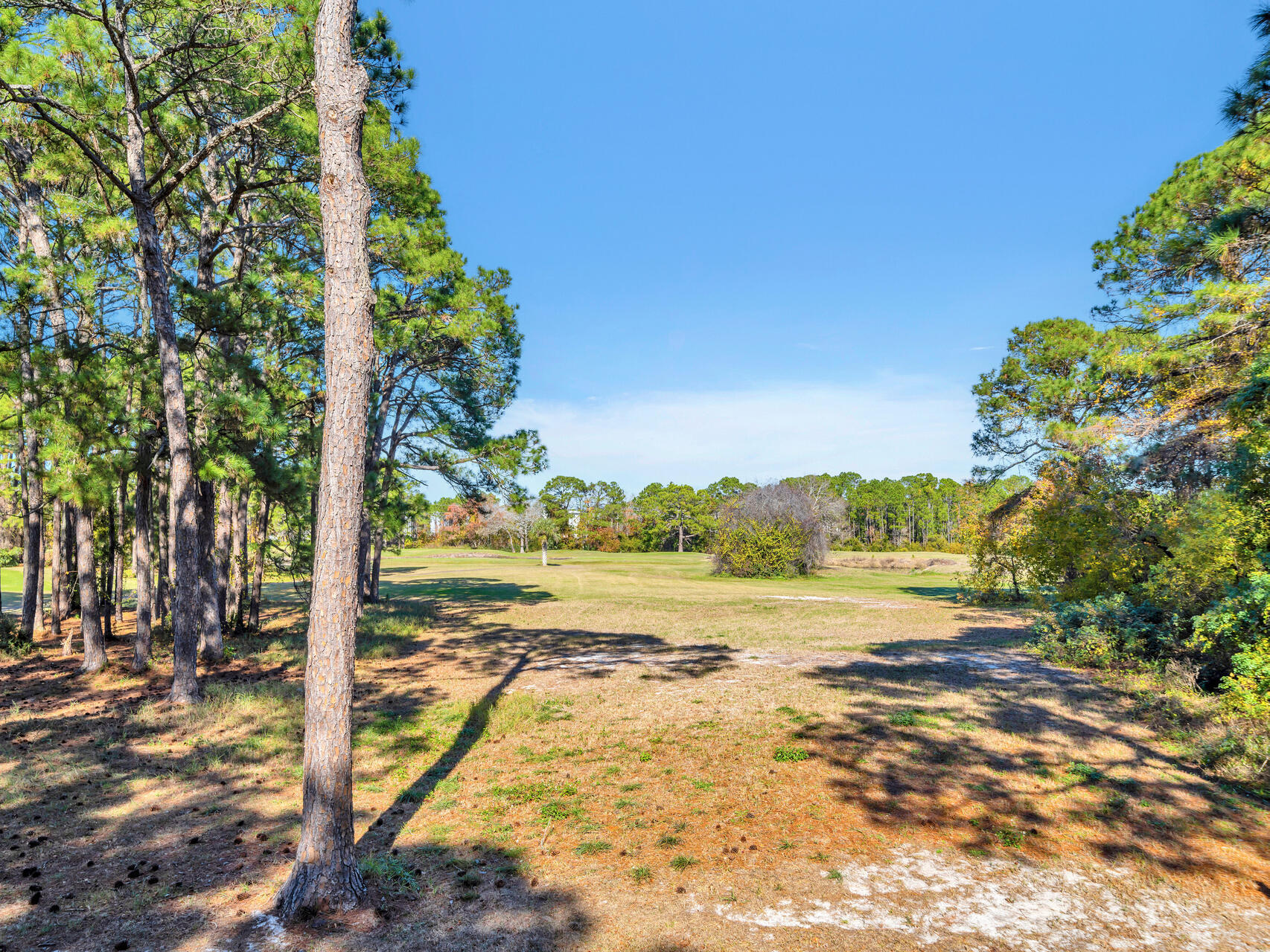 SEASCAPE CONDO FAIRWAYS AT - Residential