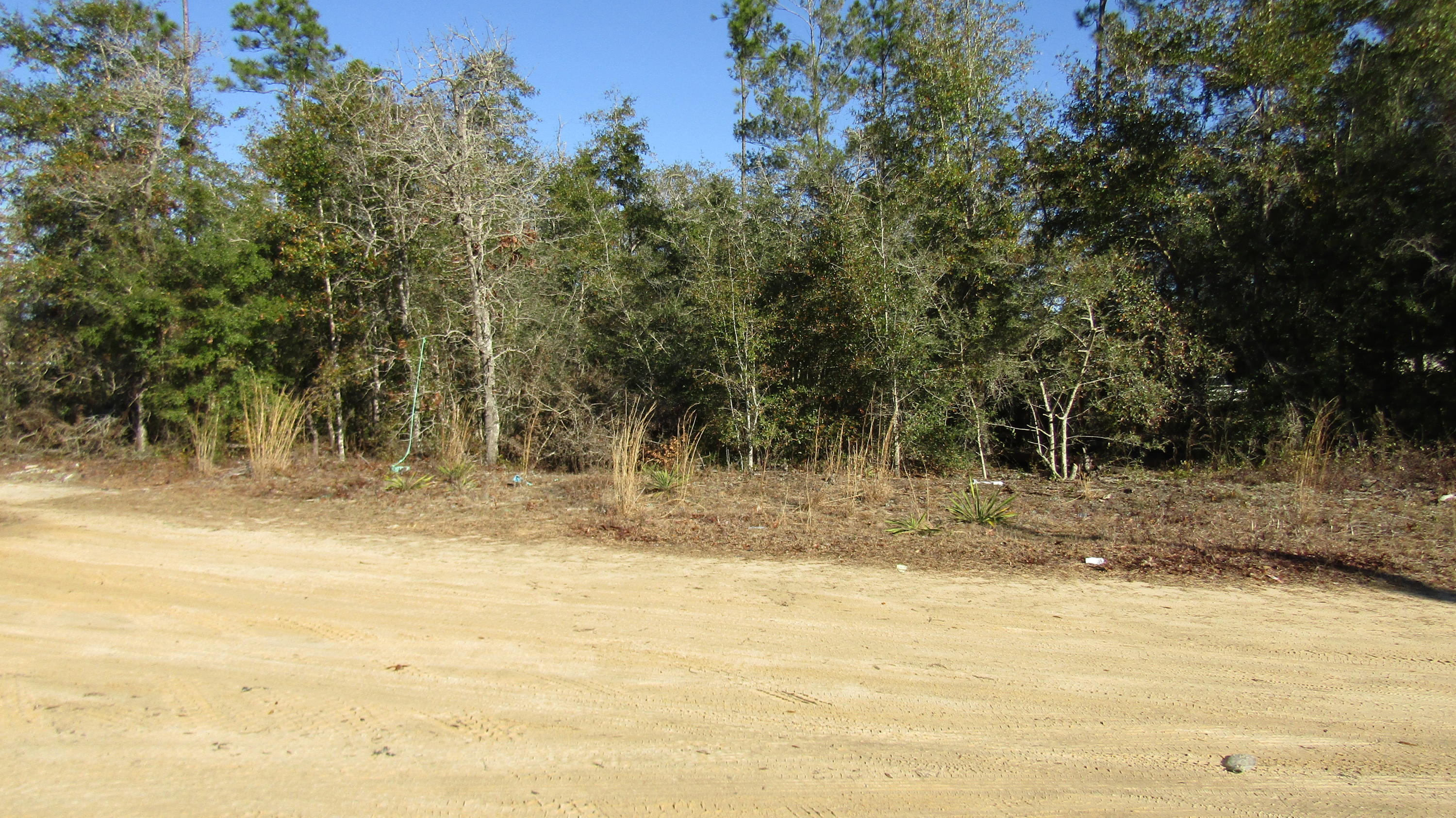 The Pines/Triple Lake - Land