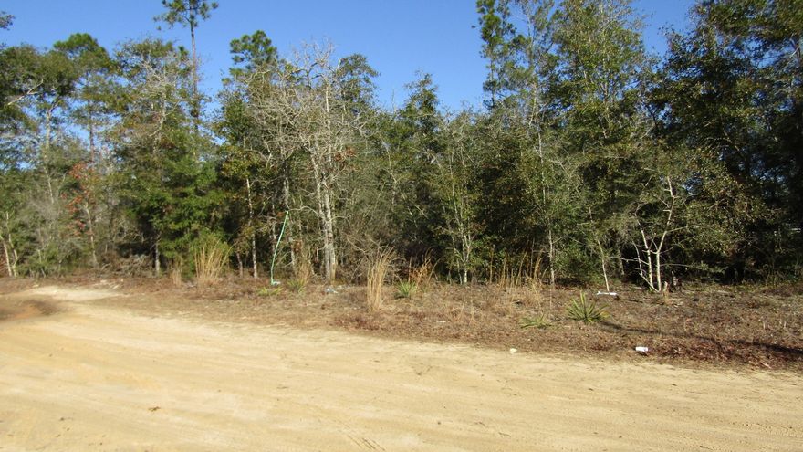 Level lot to build your home. There are two lots available purchase both to have a larger lot or you may purchase either lot. Each lot is $12,000. There is a lot of nice trees on property. The sub-division has lots of vacant land and lots of homes already. Quiet neighborhood and good location betweenCrestview and Defuniak Springs. Take a look. Mobile homes allowed in this area.