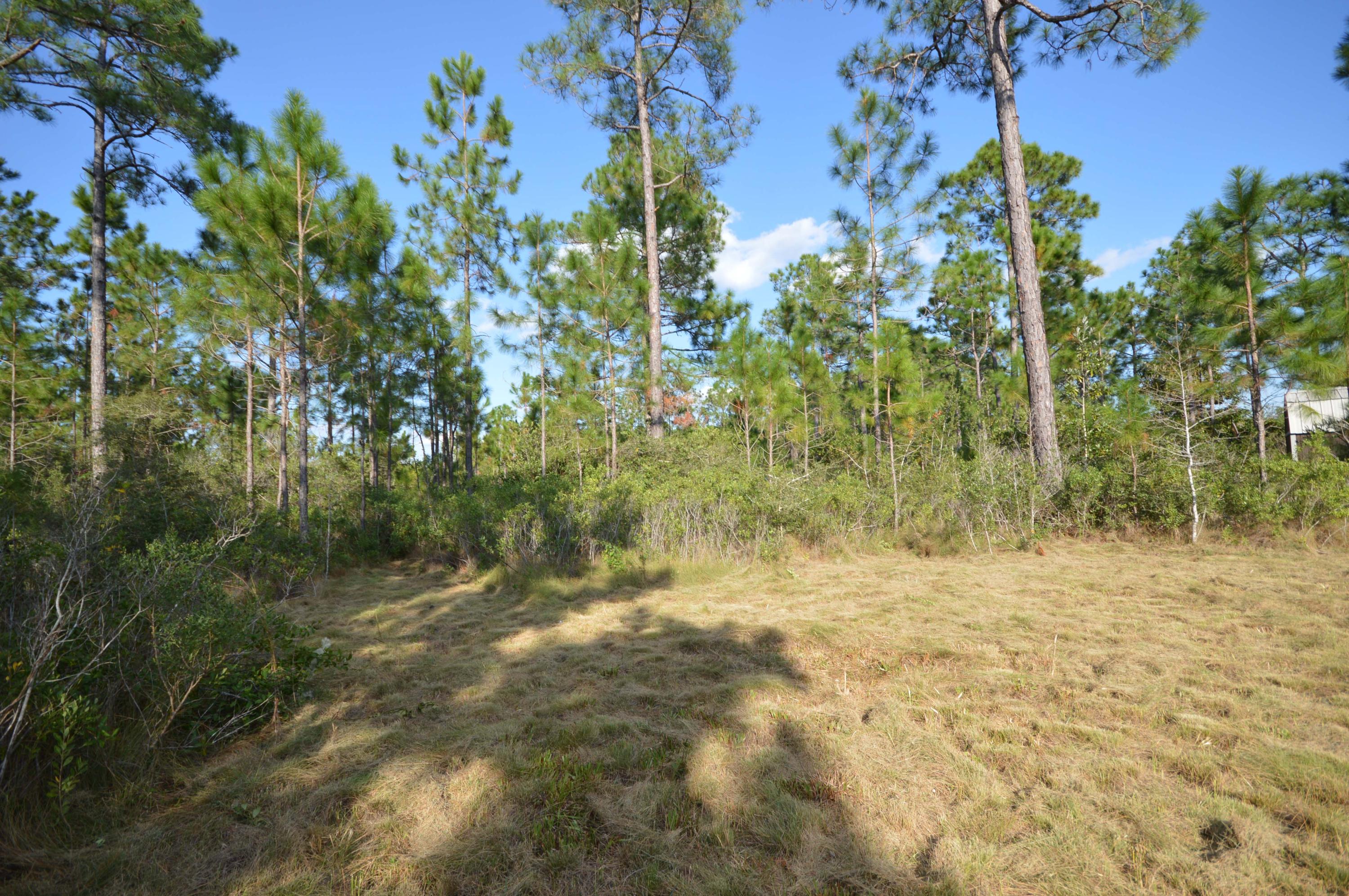 CREETWOOD VILLAGE - Residential