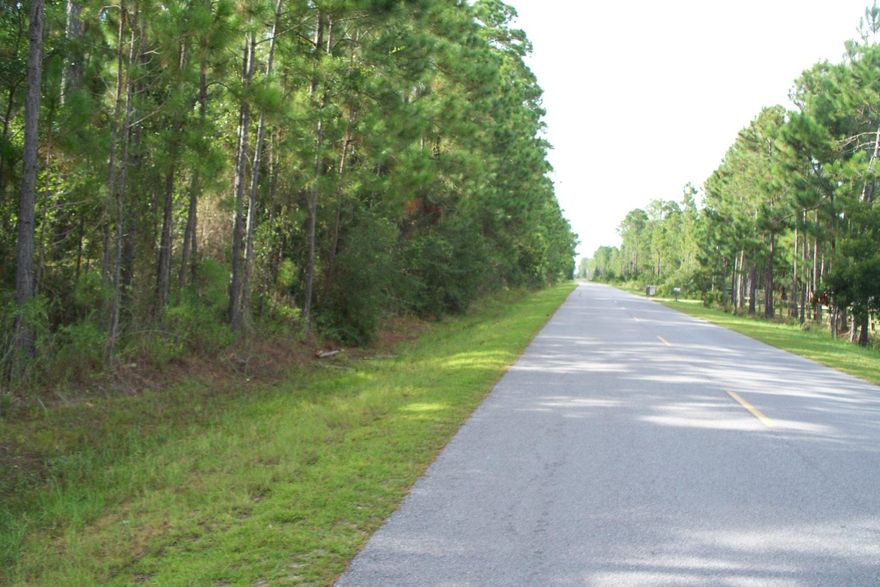 OWNER FINANCING AVAILABLE - Wooded lot to build your dream home located by Hogtown Bayou off of Choctawhatchee Bay in Santa Rosa Beach, FL. Santa Rosa Beach was recently named as one of Travel + Leisure's Top 5 Favorite Towns in America! This parcel is near Charles Cessna Landing Boat Ramp featuring a Children's Park, Boat launch, fishing dock, picnic tables, and gazebos. You are minutes away from the beautiful white sandy beaches of South Walton, shopping, banking, schools, and more. Looking for more land? Additional acreage can be purchased. All measurements to be verified by buyer.