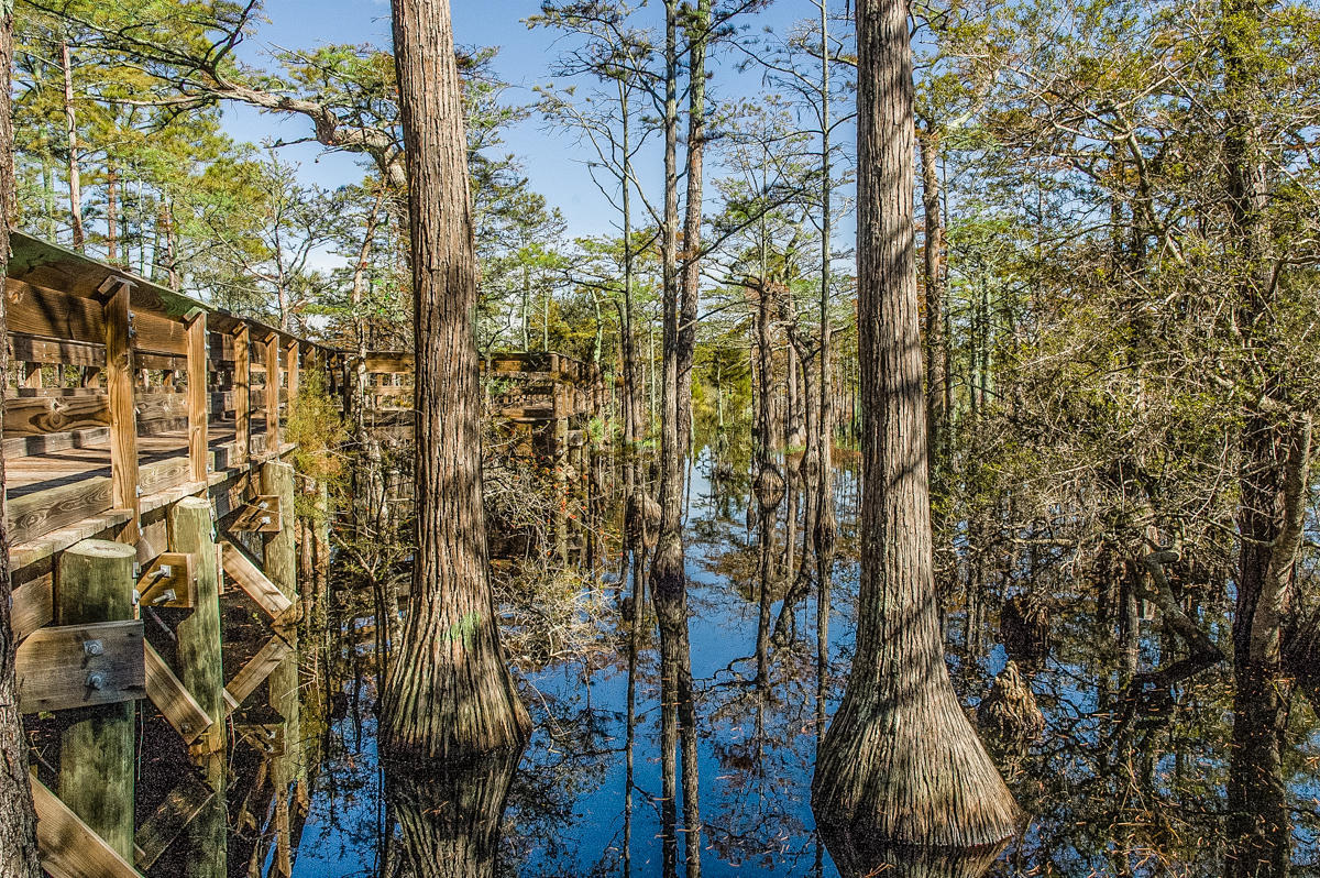 CYPRESS DUNES - Land