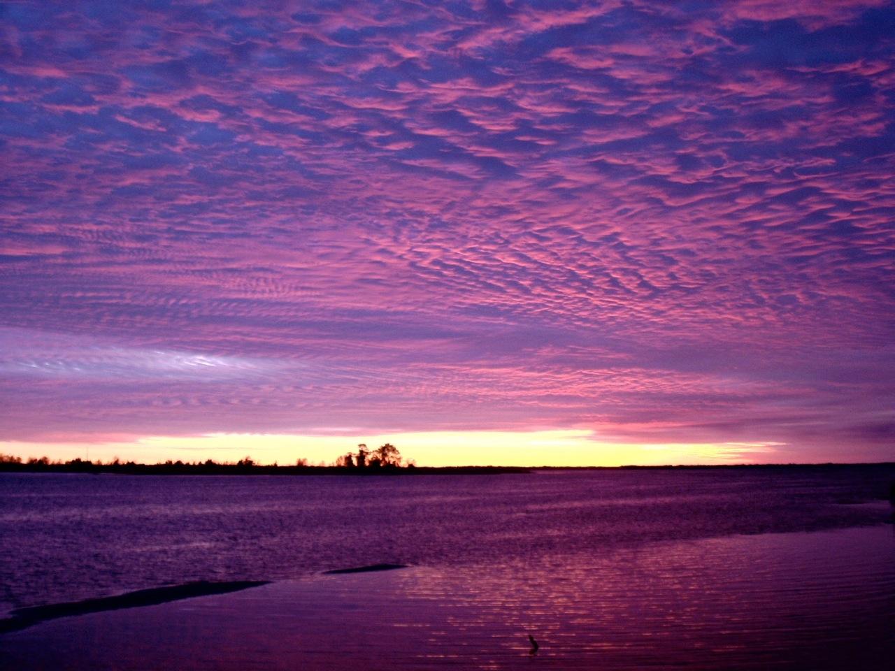 TWIN OAKS 1ST ADDN - Residential