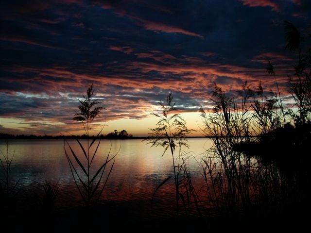 TWIN OAKS 1ST ADDN - Residential