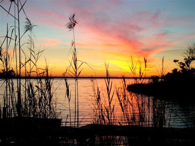 TWIN OAKS 1ST ADDN - Residential