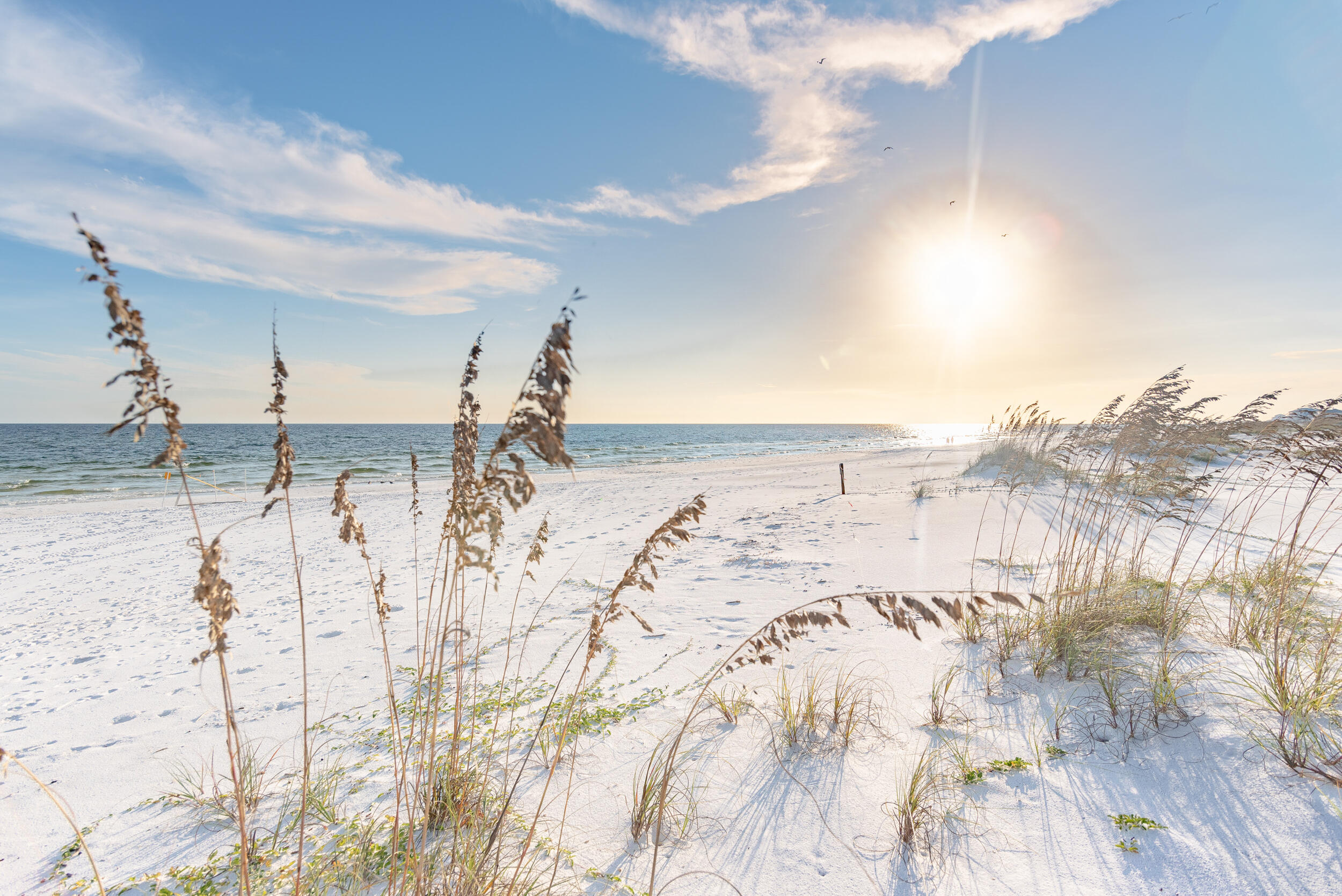THE PRESERVE AT GRAYTON BEACH - Residential