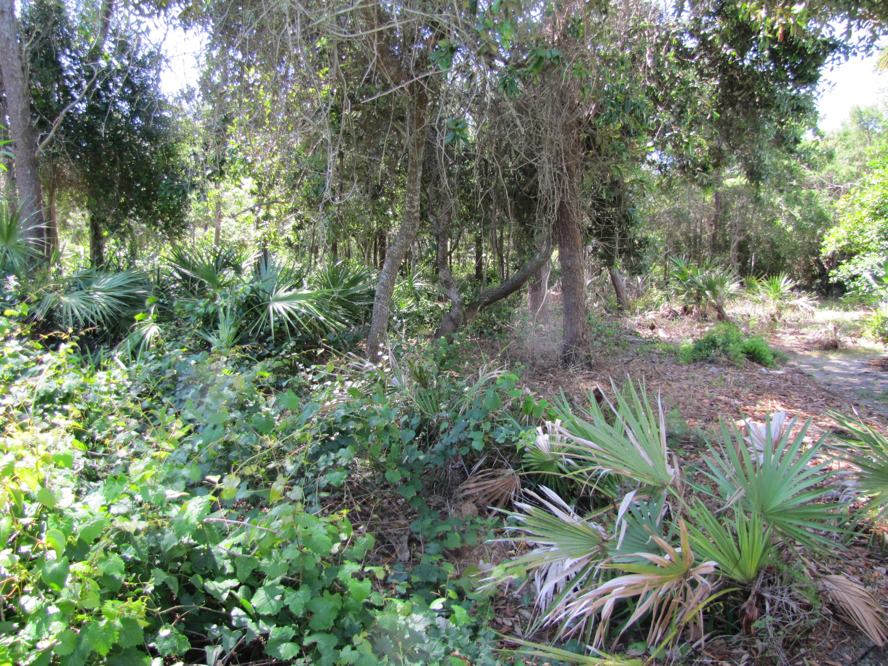 DESTINY EAST PH 1 - Land