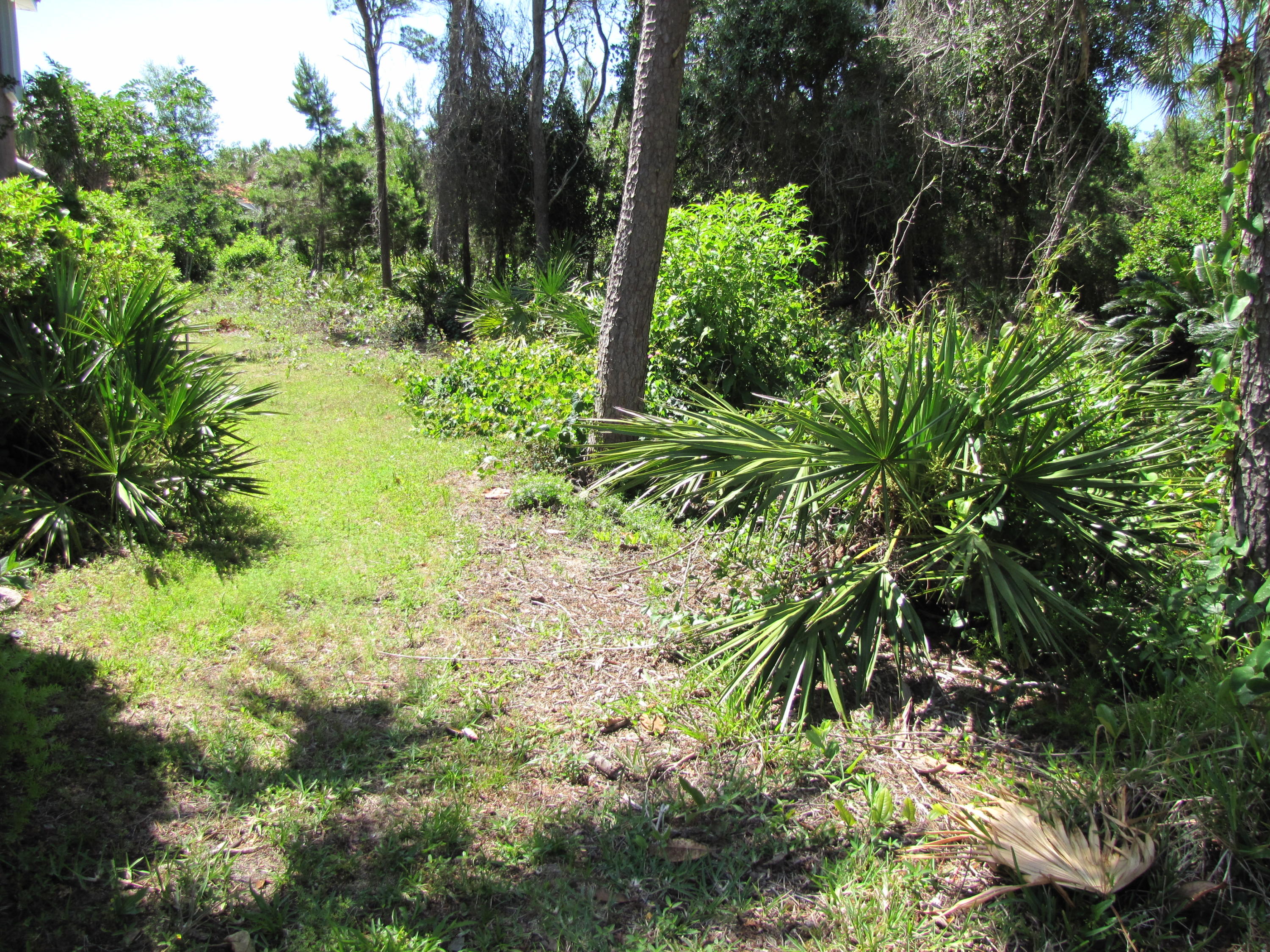 DESTINY EAST PH 1 - Land