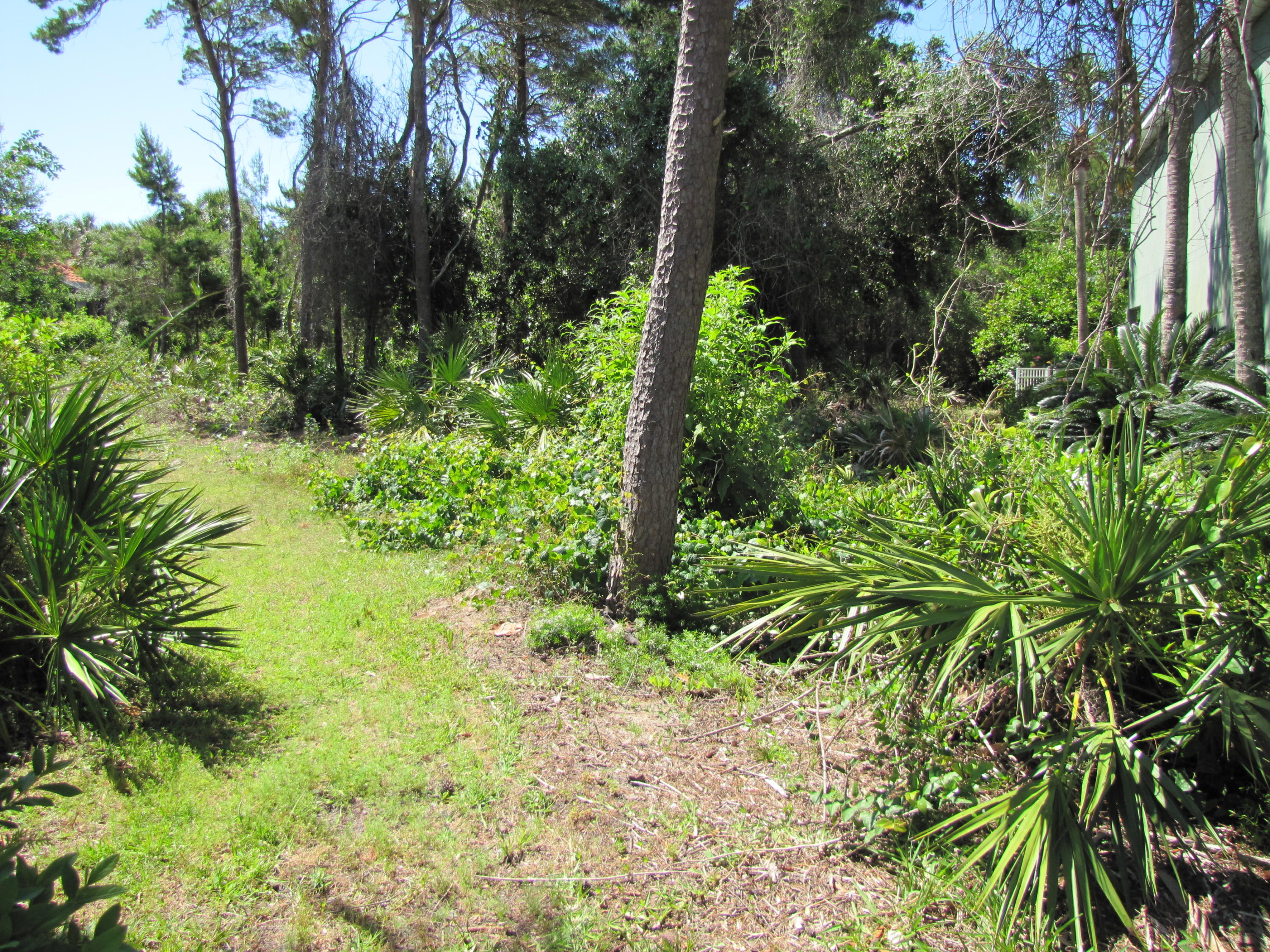 DESTINY EAST PH 1 - Land