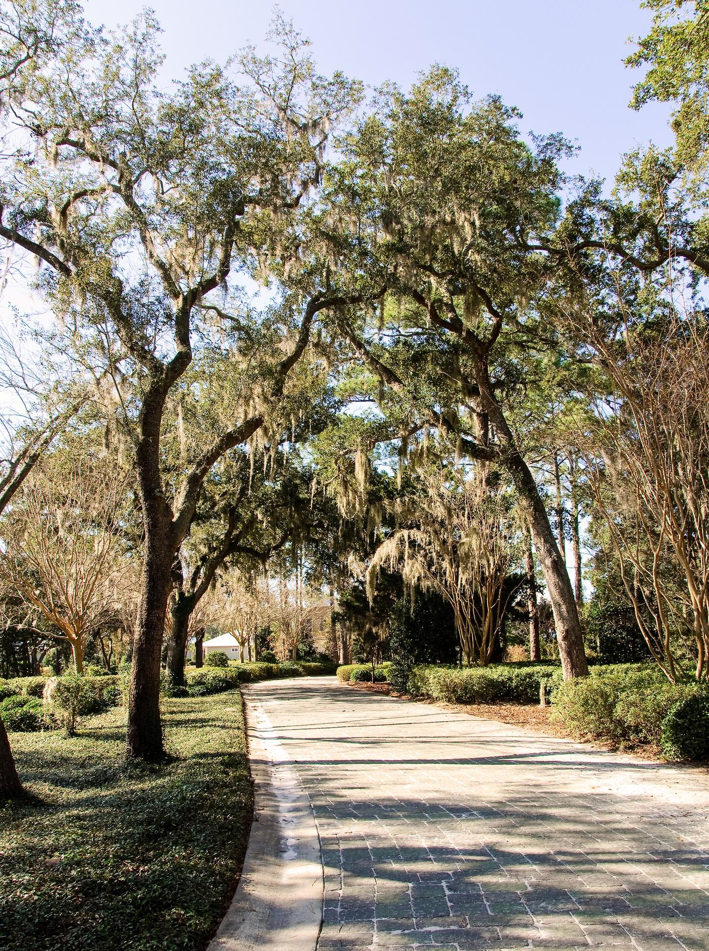 CARSON OAKS - Residential