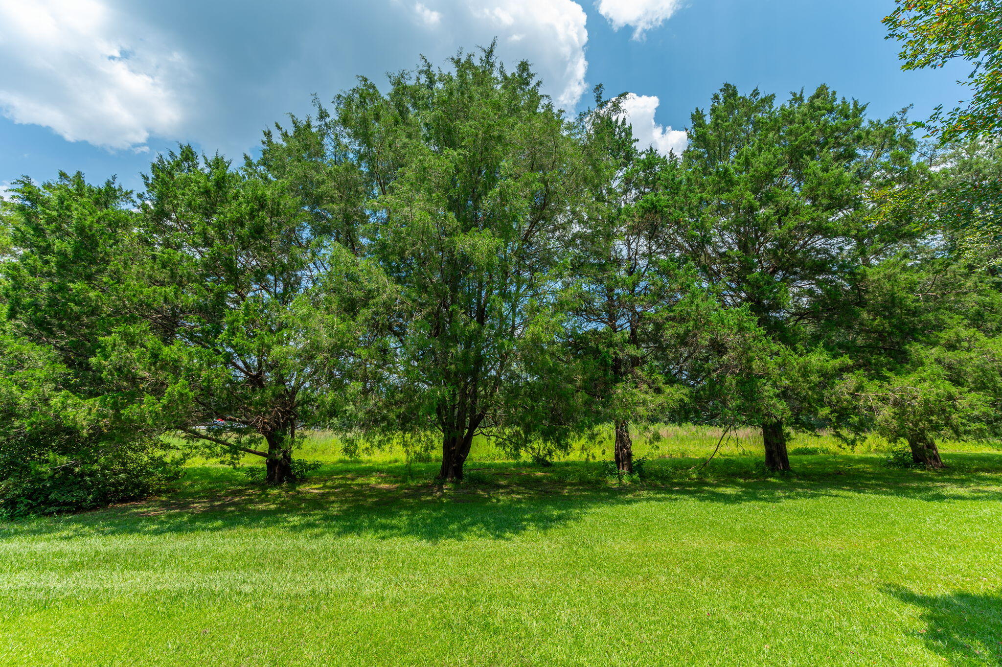 MORRIS ADDN TO BAKER - Residential
