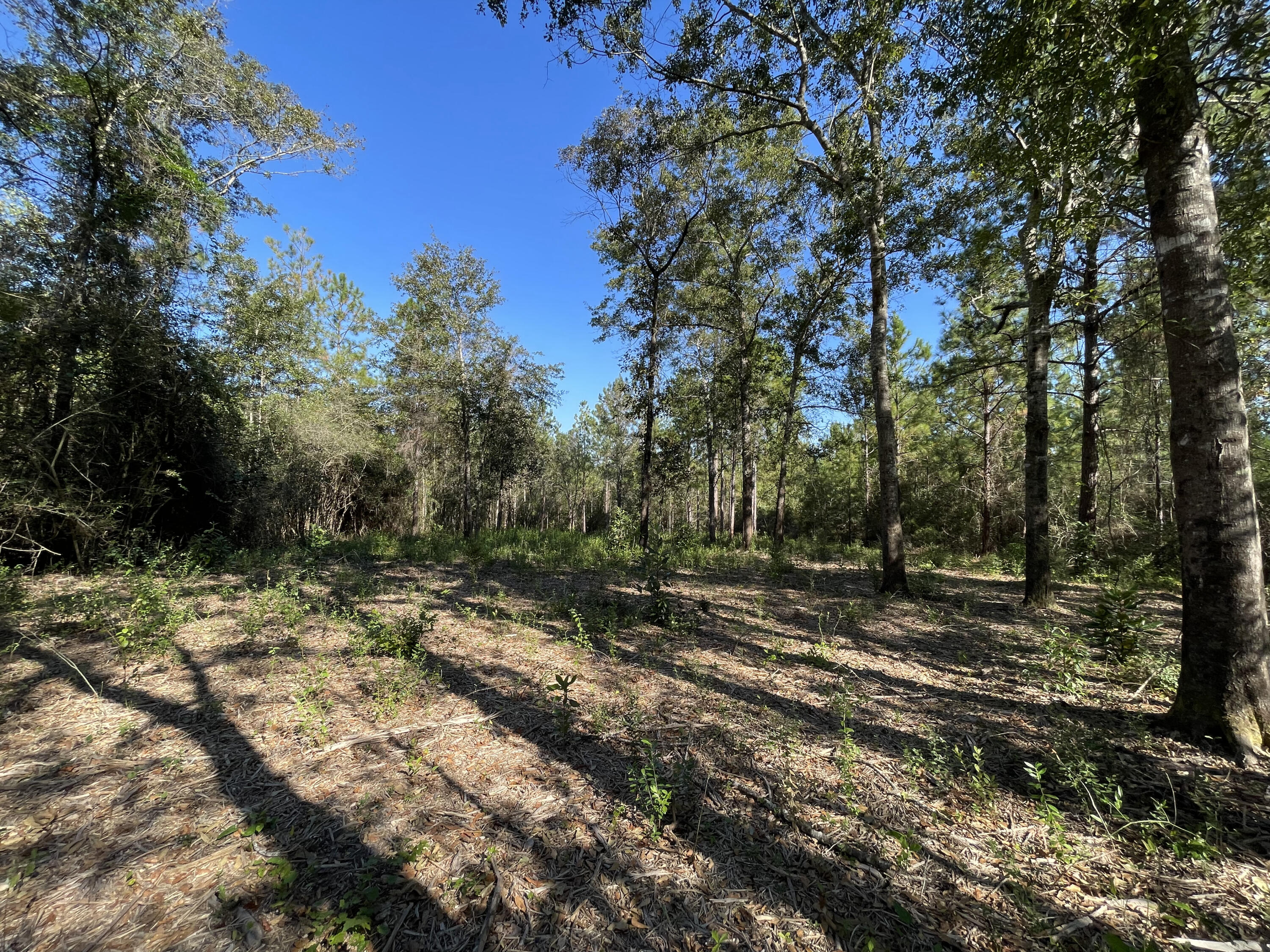 PINECREST ACRES UNREC - Land