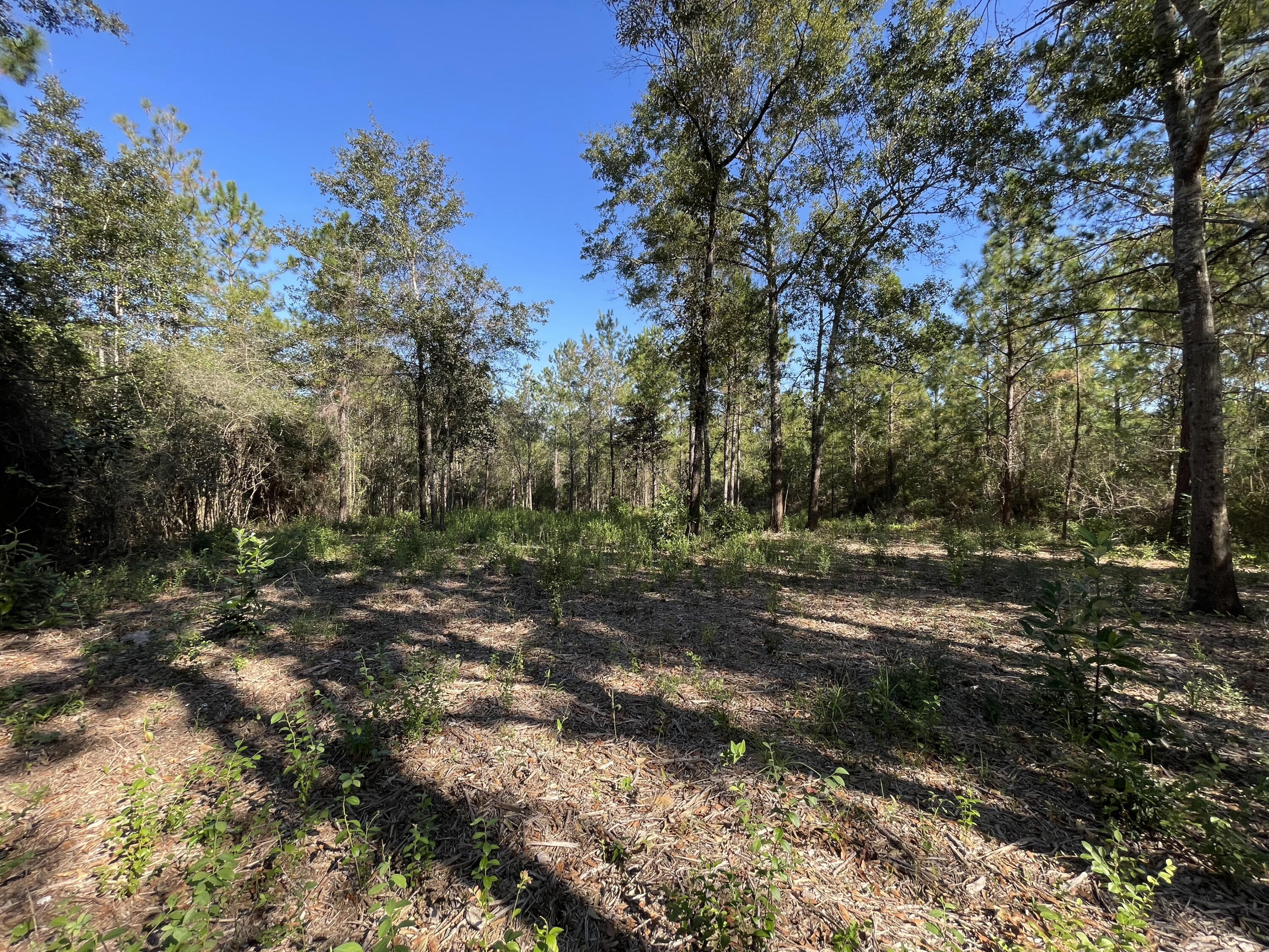 PINECREST ACRES UNREC - Land