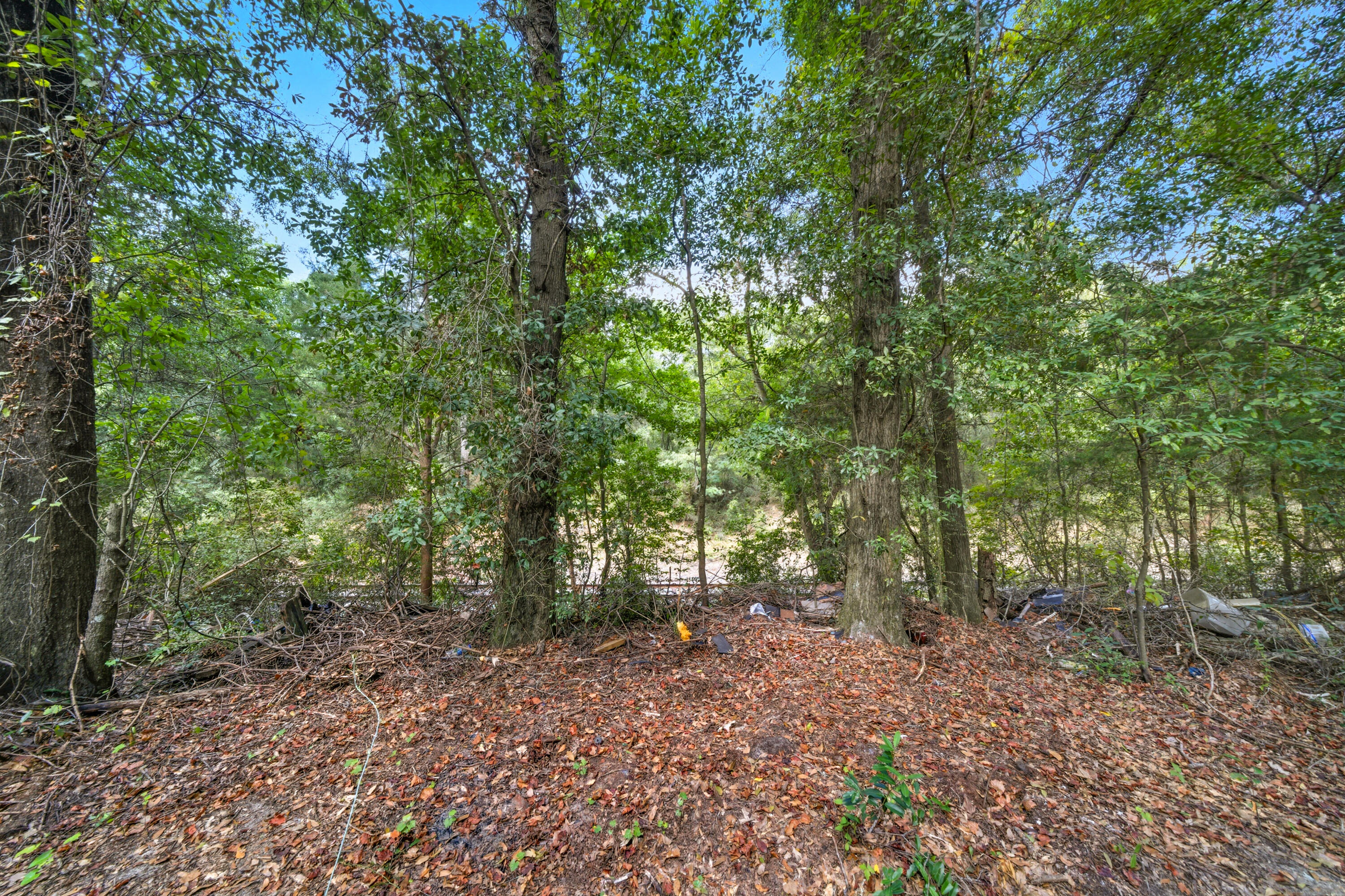 FERDON HEIGHTS - Residential