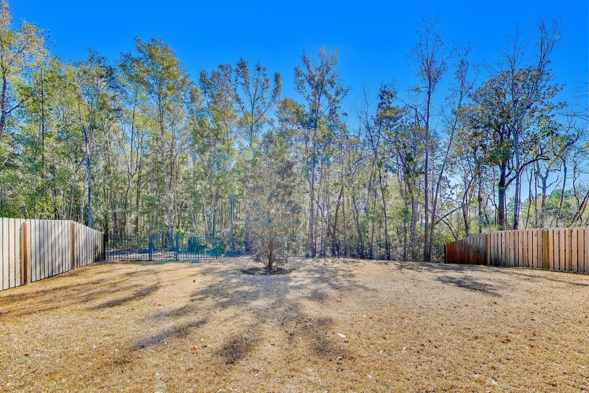 HAMMOCK BAY - BIRD SONG - Residential