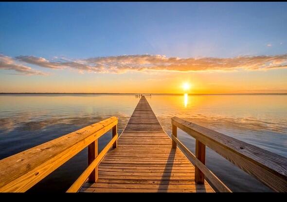 HAMMOCK BAY - BIRD SONG - Residential