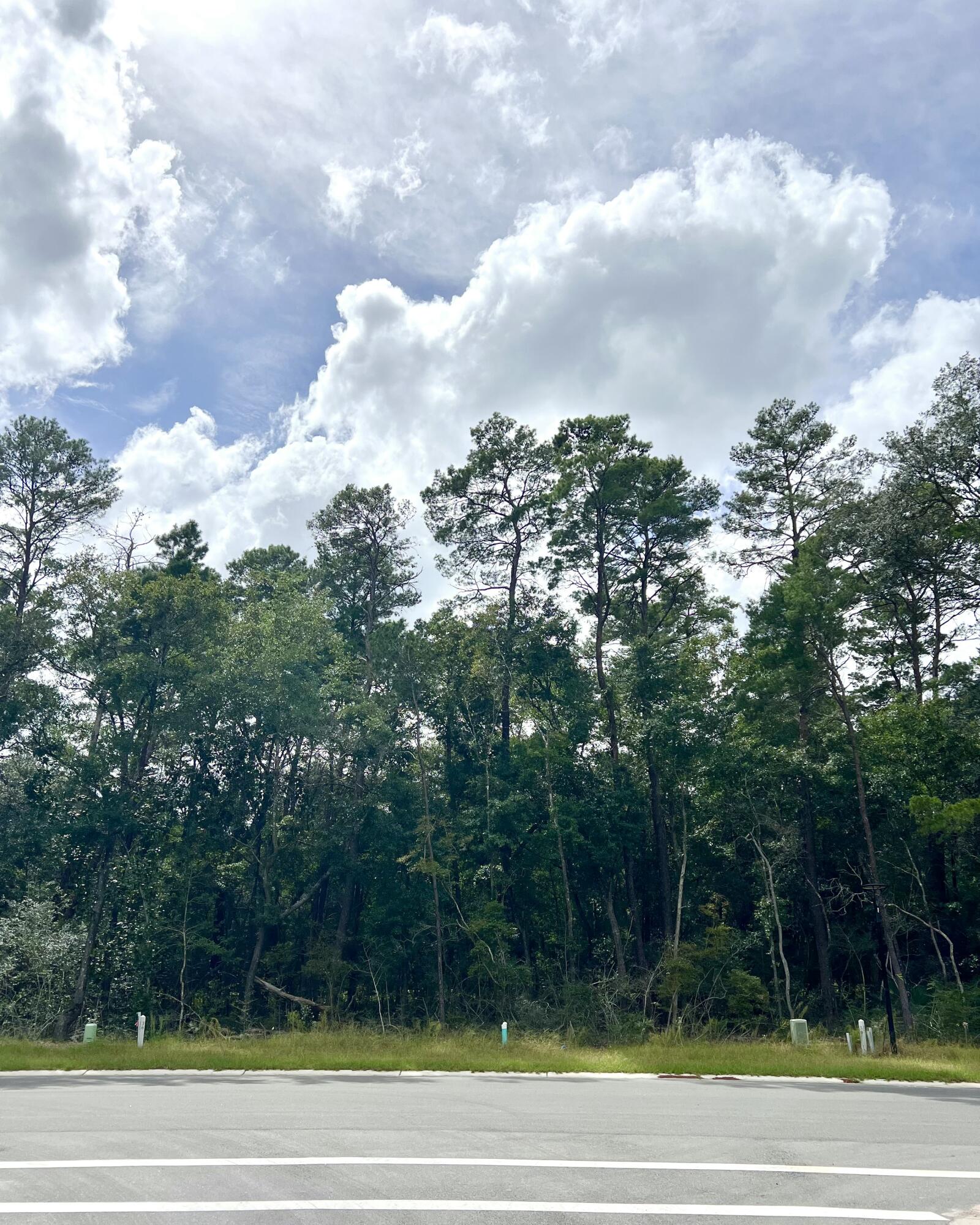 Deer Moss Creek - Land