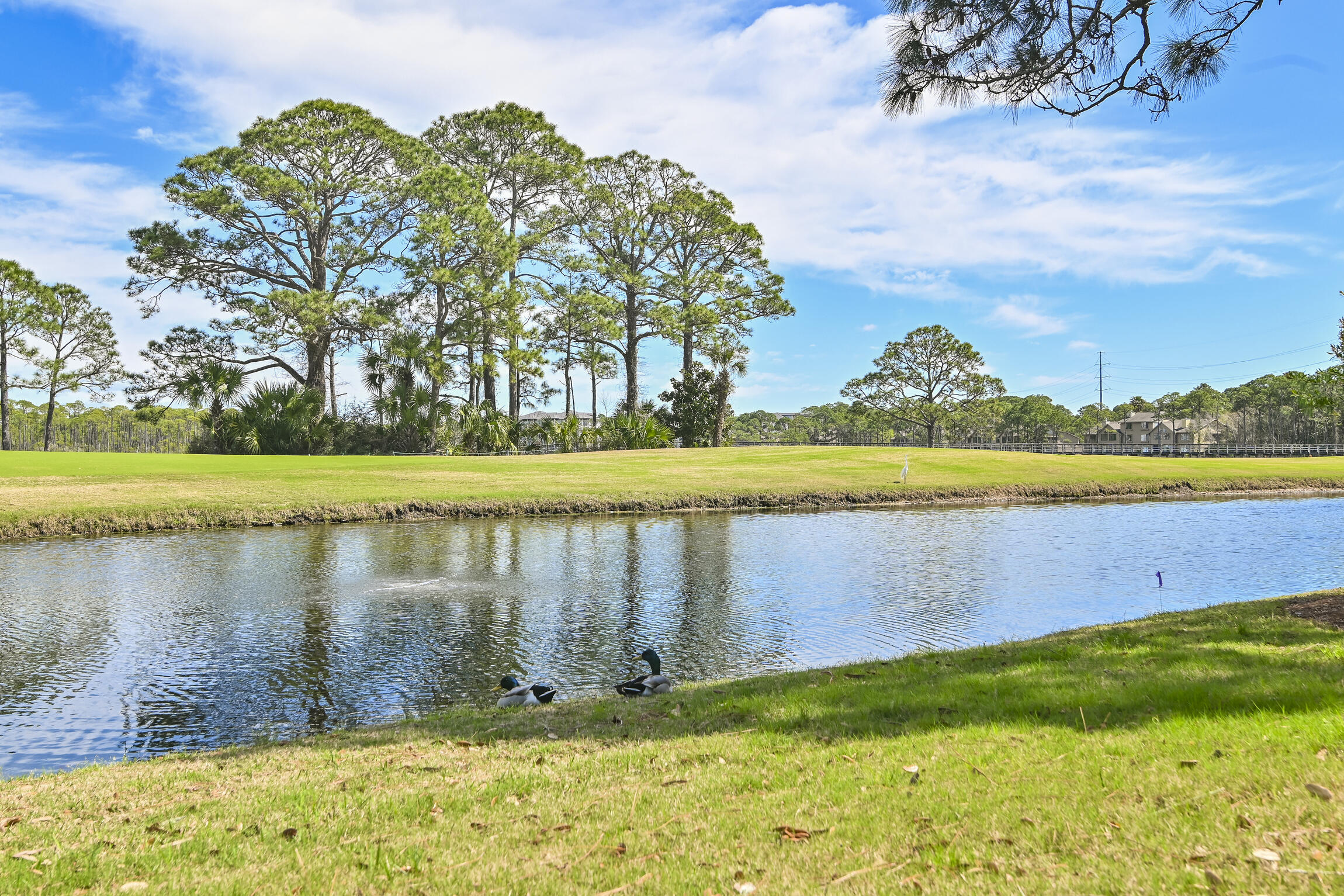 TROON DRIVE - Residential