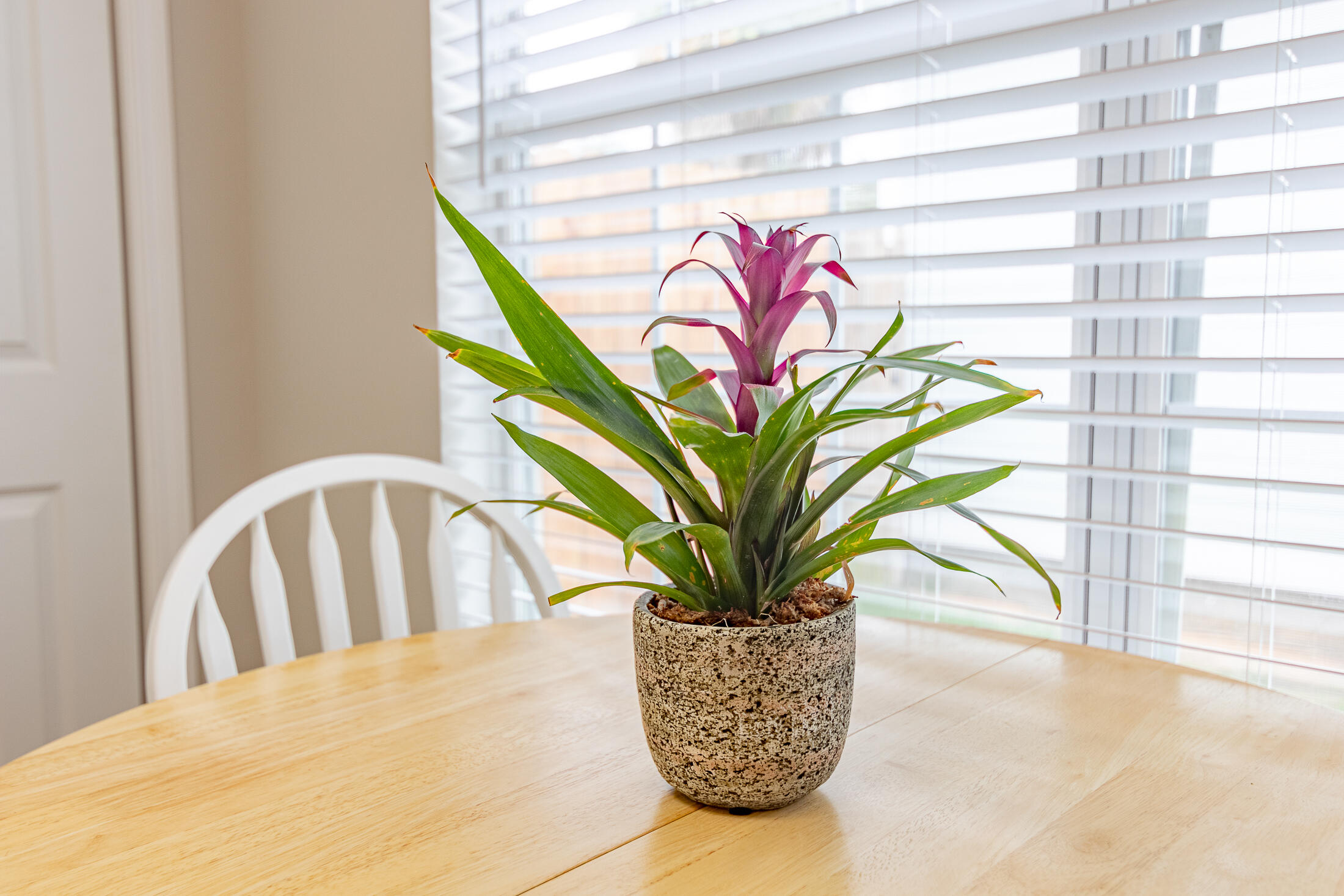 BID-A-WEE BEACH 1ST ADDN - Residential