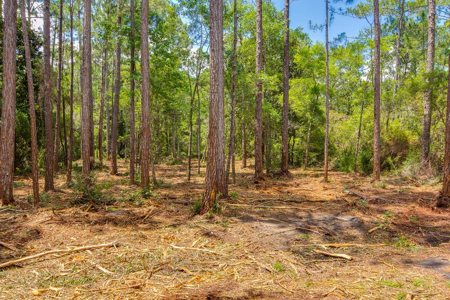 Very private location at the end of the street on a wooded lot. Actually it is two lots, lots 19&20 combined. The lot(s) have been brush cleared of under growth so it is easy to walk the lot and see the opportunity for your home site. The size, .344 acres is 100 wide and 150 deep which is large enough for a home, garage and shop/storage.
