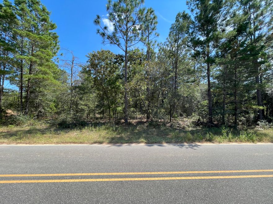 Awesome Value!! Beautiful wood corner lot making up approx .26 acres between DeFuniak Springs FL and Mossyhead. Fronts on paved road.No HOA. Minimal Restrictions. Easy access to the I-10 & CR 285 south making it a great location for work no matter what direction you need to go! You will be approx. 30-45 mins to most workplaces as well as the beautiful white sandy beaches of Florida famous Emerald Gulf Coast and Crab Island. Modular homes allowed. There are no existing utilities. Well/Power/Septic required. Property is Flood Zone X. Per the Walton GIS mapping, the property does not appear to have wetlands. Buyer needs to verify building codes, zoning regulations, wetlands and flood zones, etc with proper local authorities to ensure buyer will be able to utilize the property for intended use.

The original plat map I was able to locate has a different road name (Marigold Ave). The property appraiser shows the road is now called W. Cornflower Dr.

Information contained within this listing is deemed to be accurate but is not guaranteed.

All dimensions shown are approximately only per CRS Property Data Report.  A Survey must be completed to confirm property lines and dimensions.
